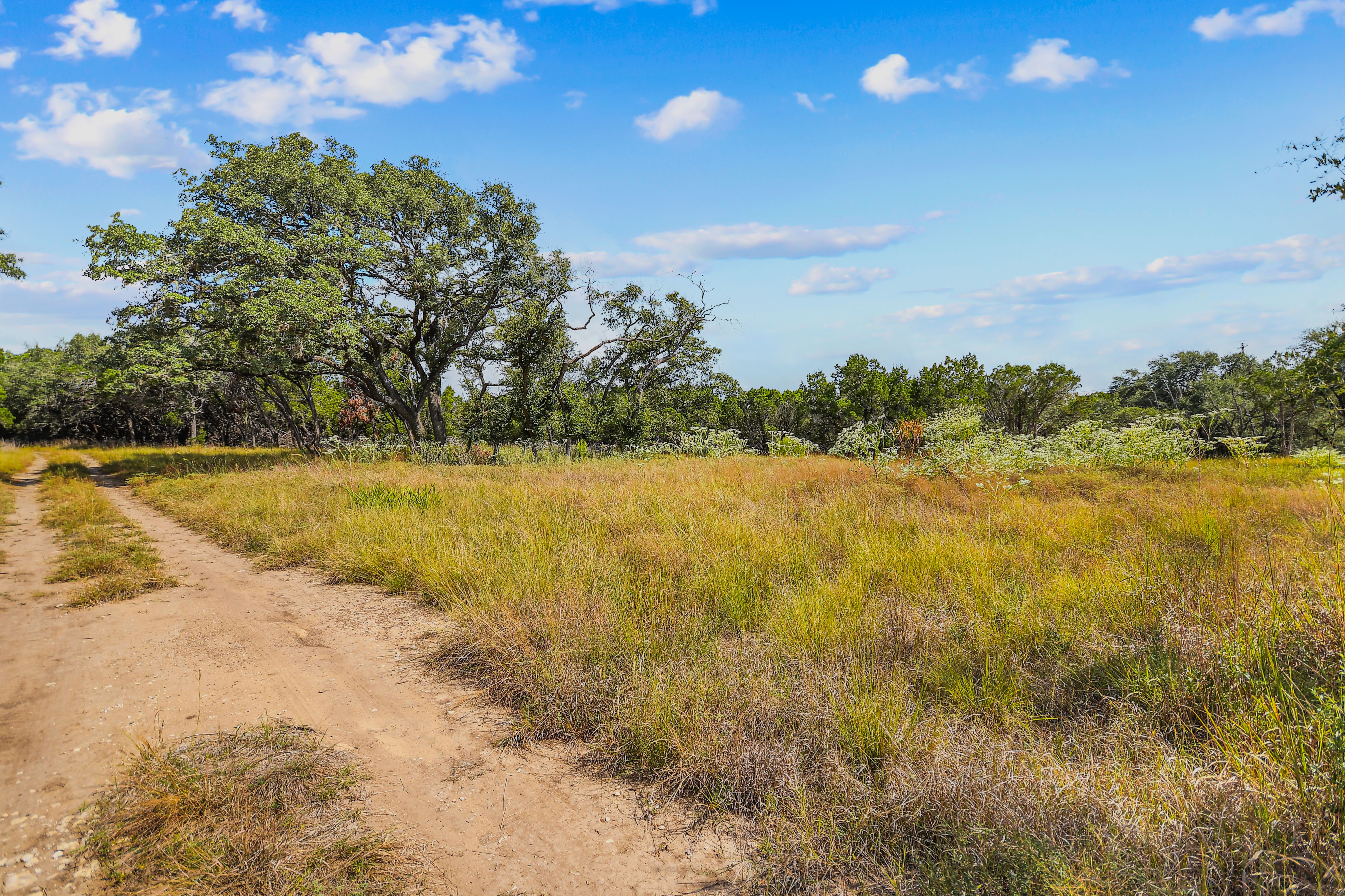  TBD Hwy 46 / Madrona Ranch Road, Pipe Creek, TX 78063 - 物件實景