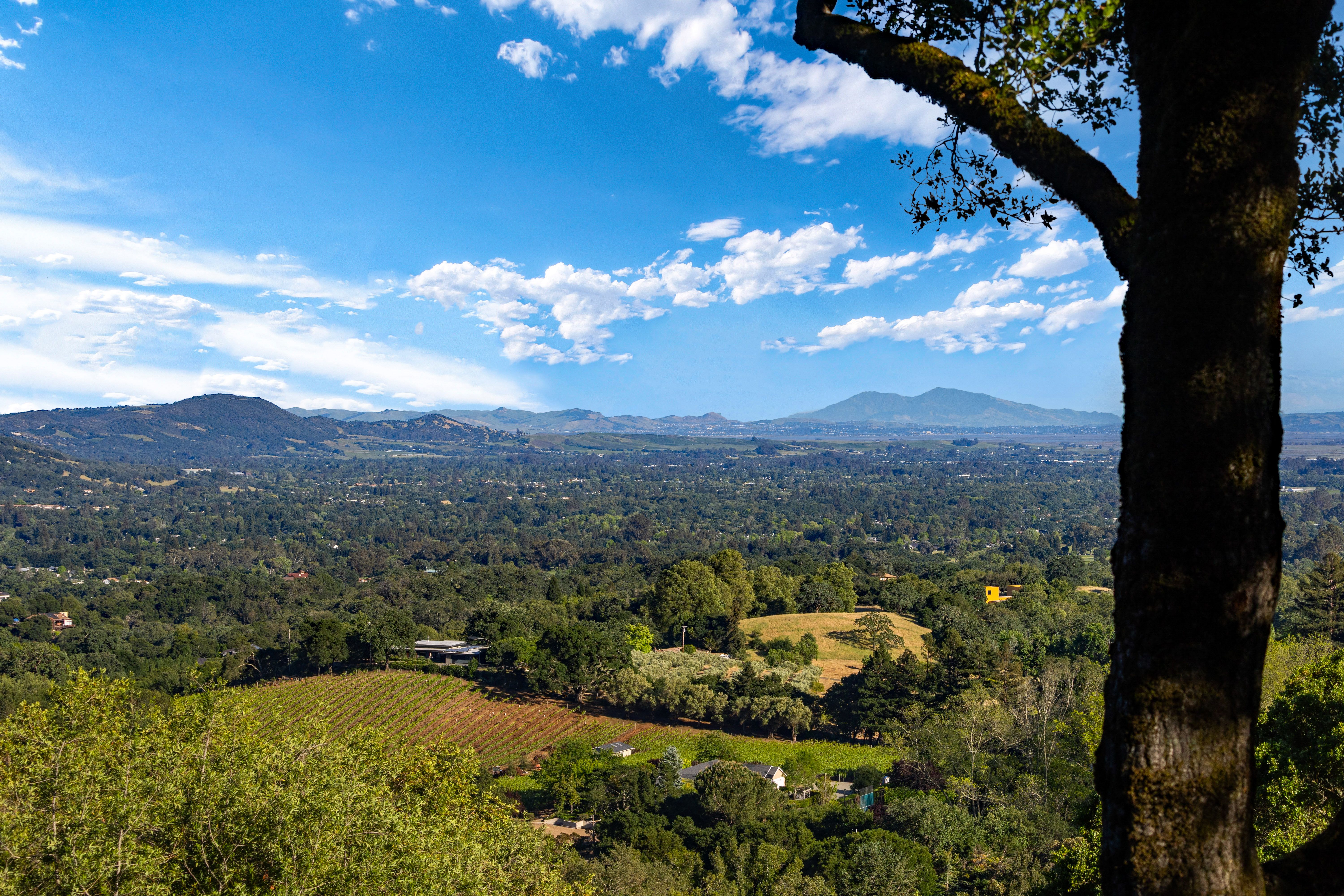  Iconic Mid-Century Retreat with Sweeping Sonoma Valley Views - 物件實景