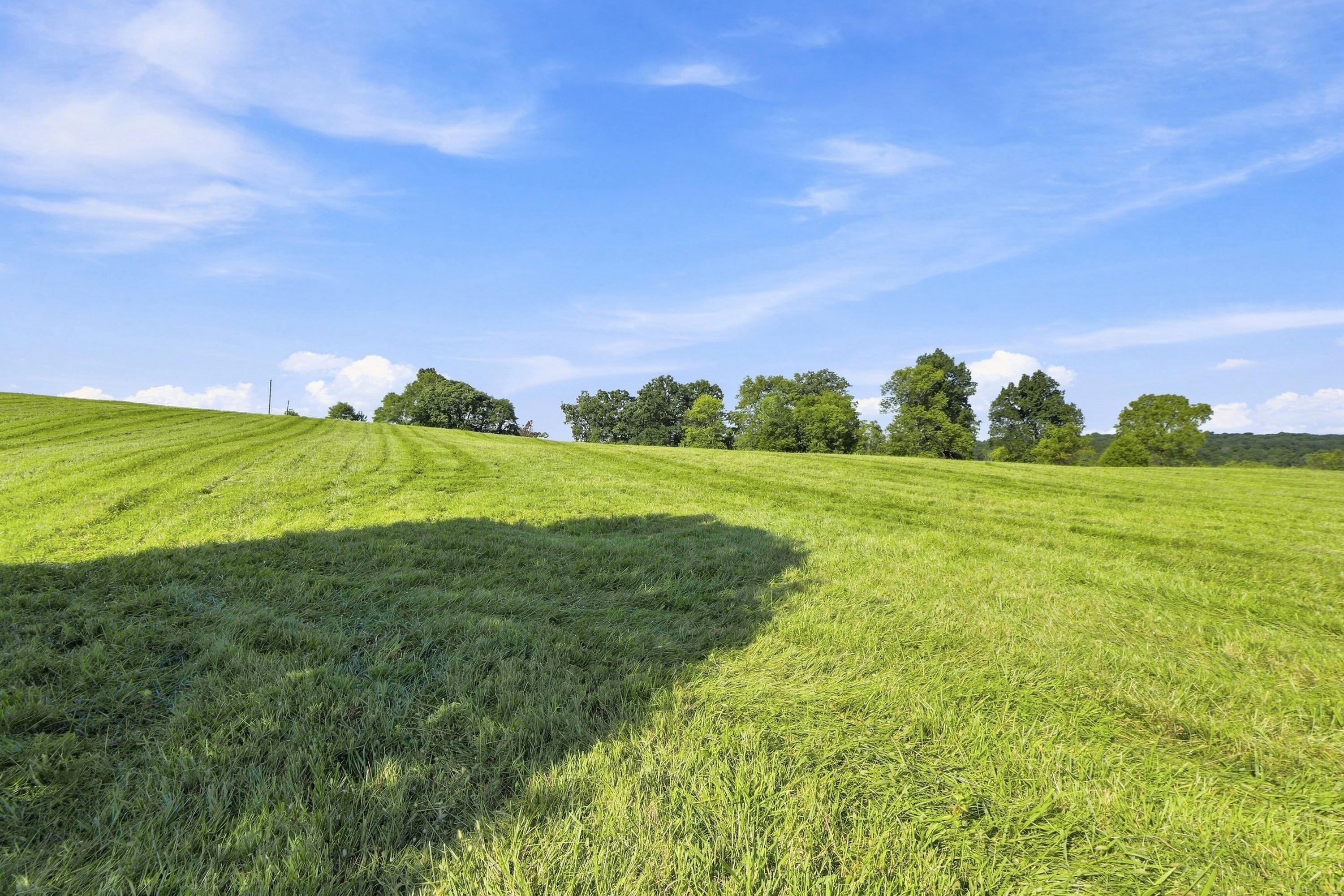  Tract 2 Ballard School Road, La Grange, KY 40031 - 物件實景