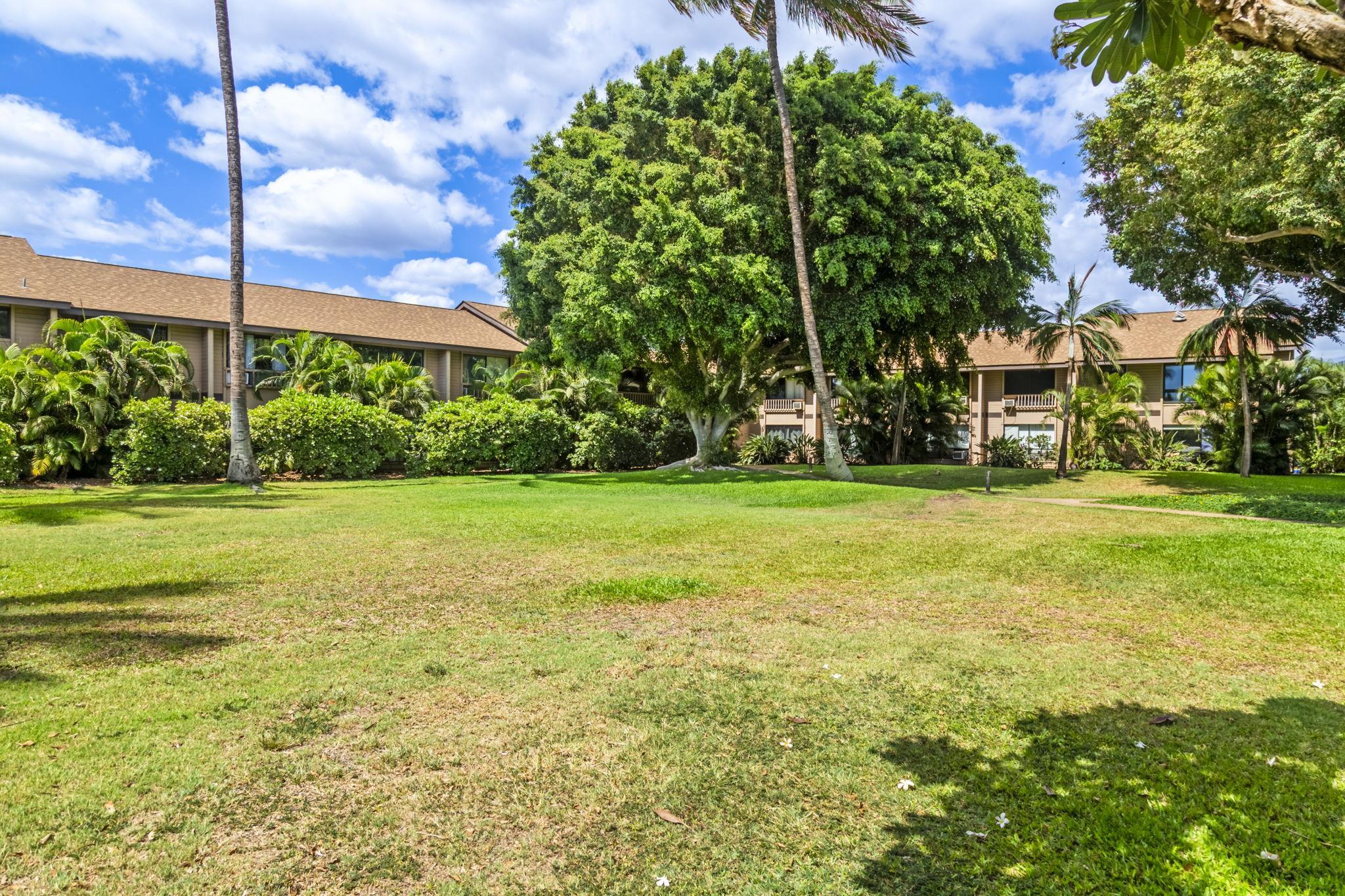 Kihei, Hawaii, 96753, United States, 3 Bedrooms Bedrooms, ,2 BathroomsBathrooms,Residential,For Sale,1901251