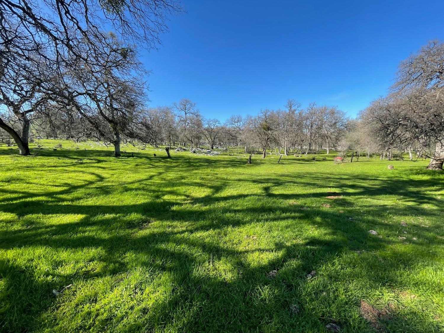 Vallecito, California, 95251, United States, ,Land,For Sale,1980651