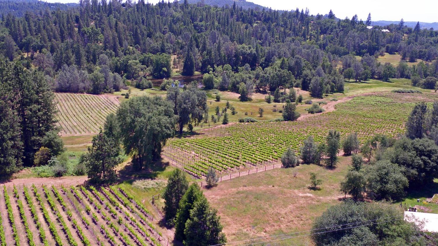 2145 Hidden Ranch Road, Somerset, California, 95684, United States, 3 Bedrooms Bedrooms, ,4 BathroomsBathrooms,Residential,For Sale,2145 Hidden Ranch Road,1048969