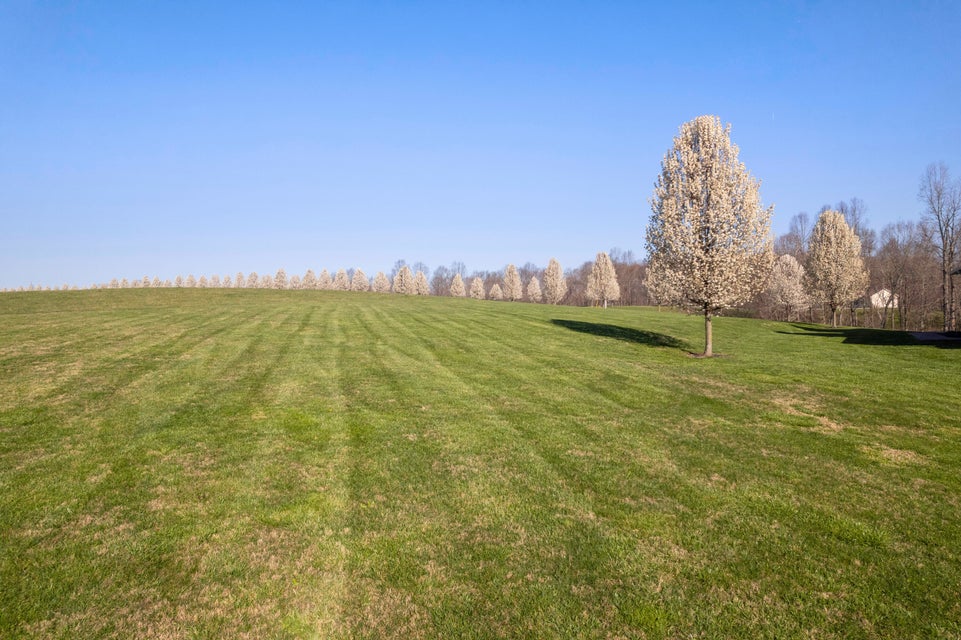 Dunnville, Kentucky, 42528, United States, 6 Bedrooms Bedrooms, ,5 BathroomsBathrooms,Residential,For Sale,1998018
