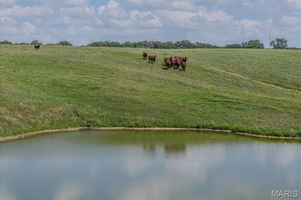 Lebanon, Missouri, 65536, United States, ,Residential,For Sale,1983425