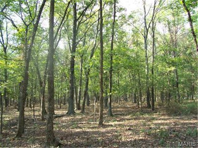 Farmington, Missouri, 63640, United States, ,Land,For Sale,1941650