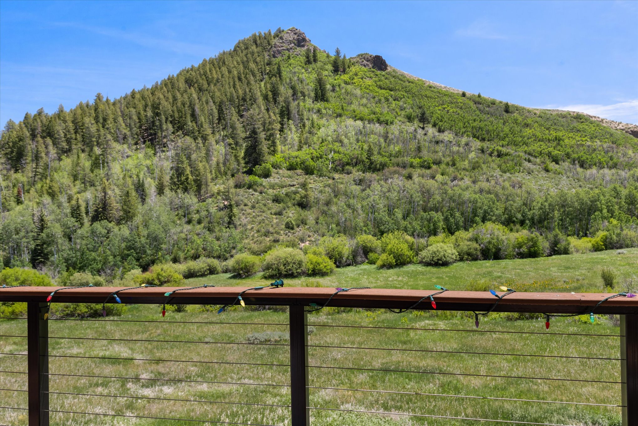  30390 Coyote Run Court, Oak Creek, CO, 80467 - 物件實景