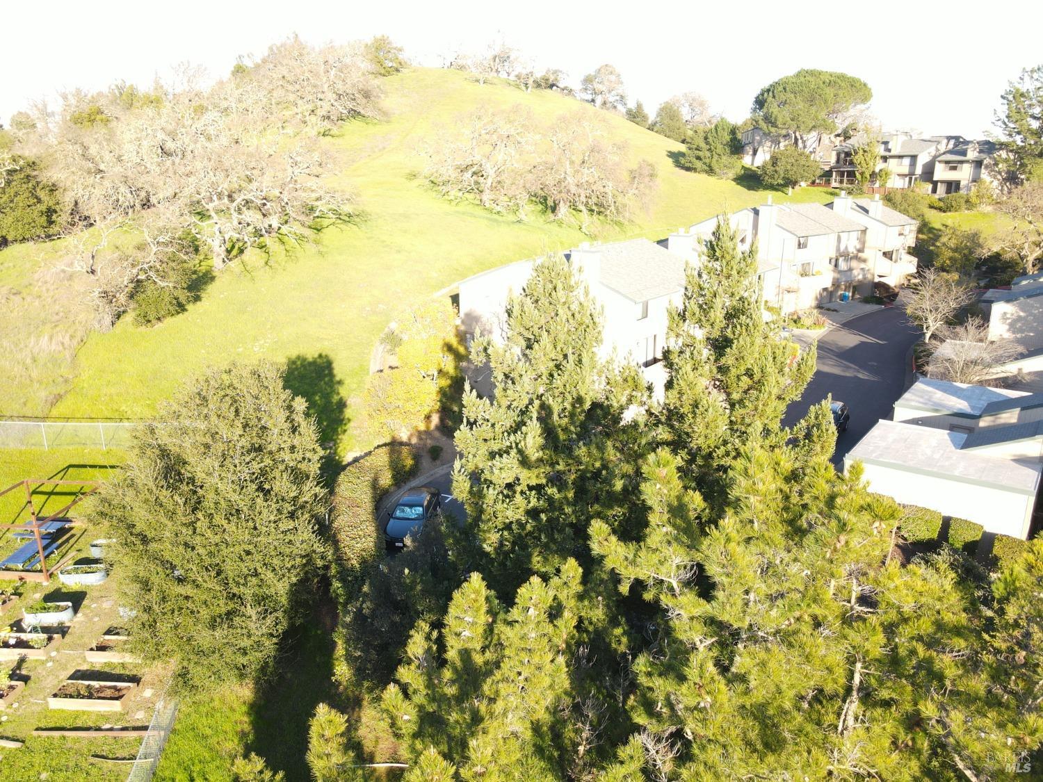 Novato, California, 94947, United States, 3 Bedrooms Bedrooms, ,3 BathroomsBathrooms,Residential,For Sale,1927255