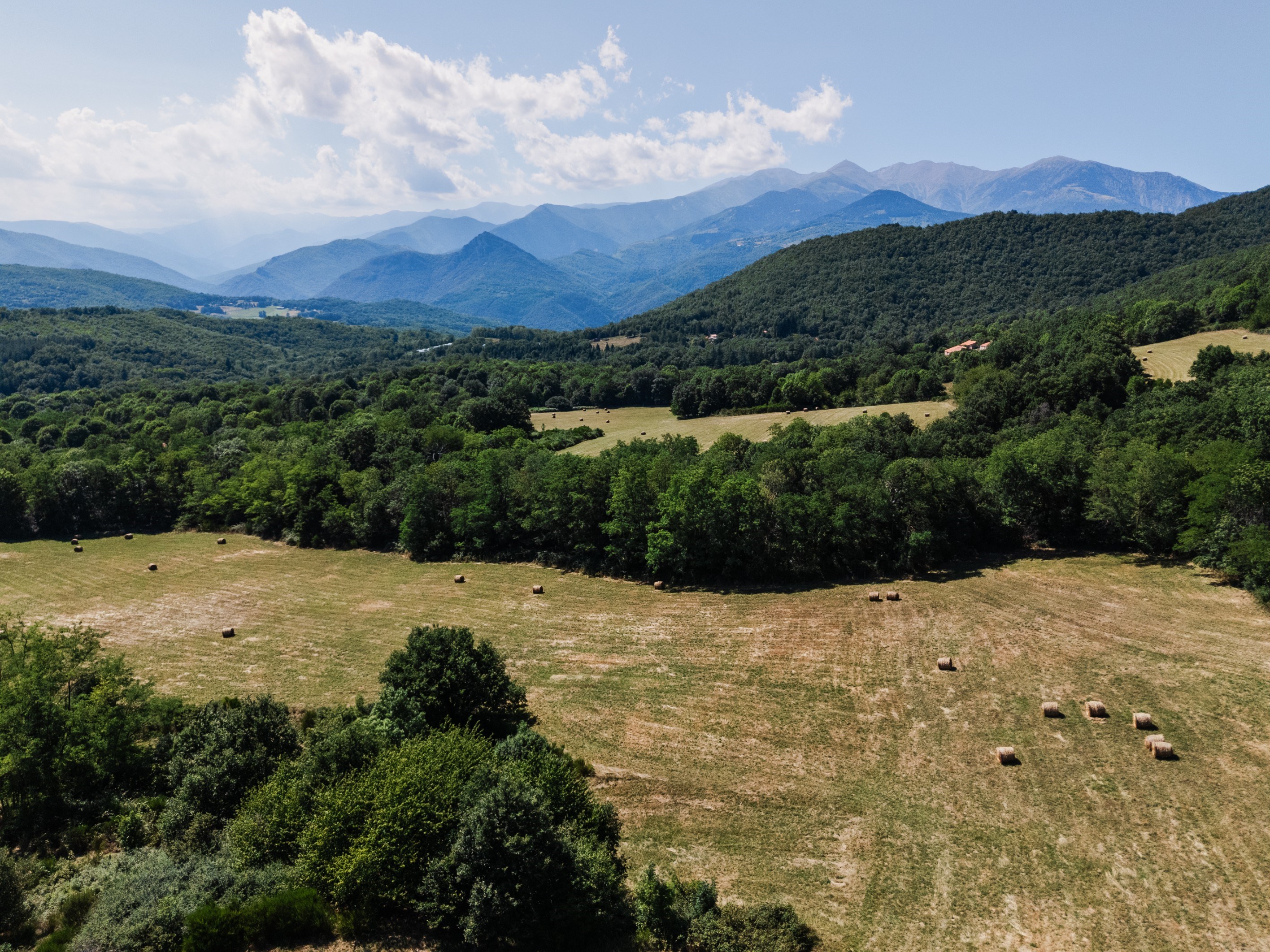  PRESTIGIOUS MAS IN THE HEART OF VALLESPIR WITH 39 HECTARES - 物件實景