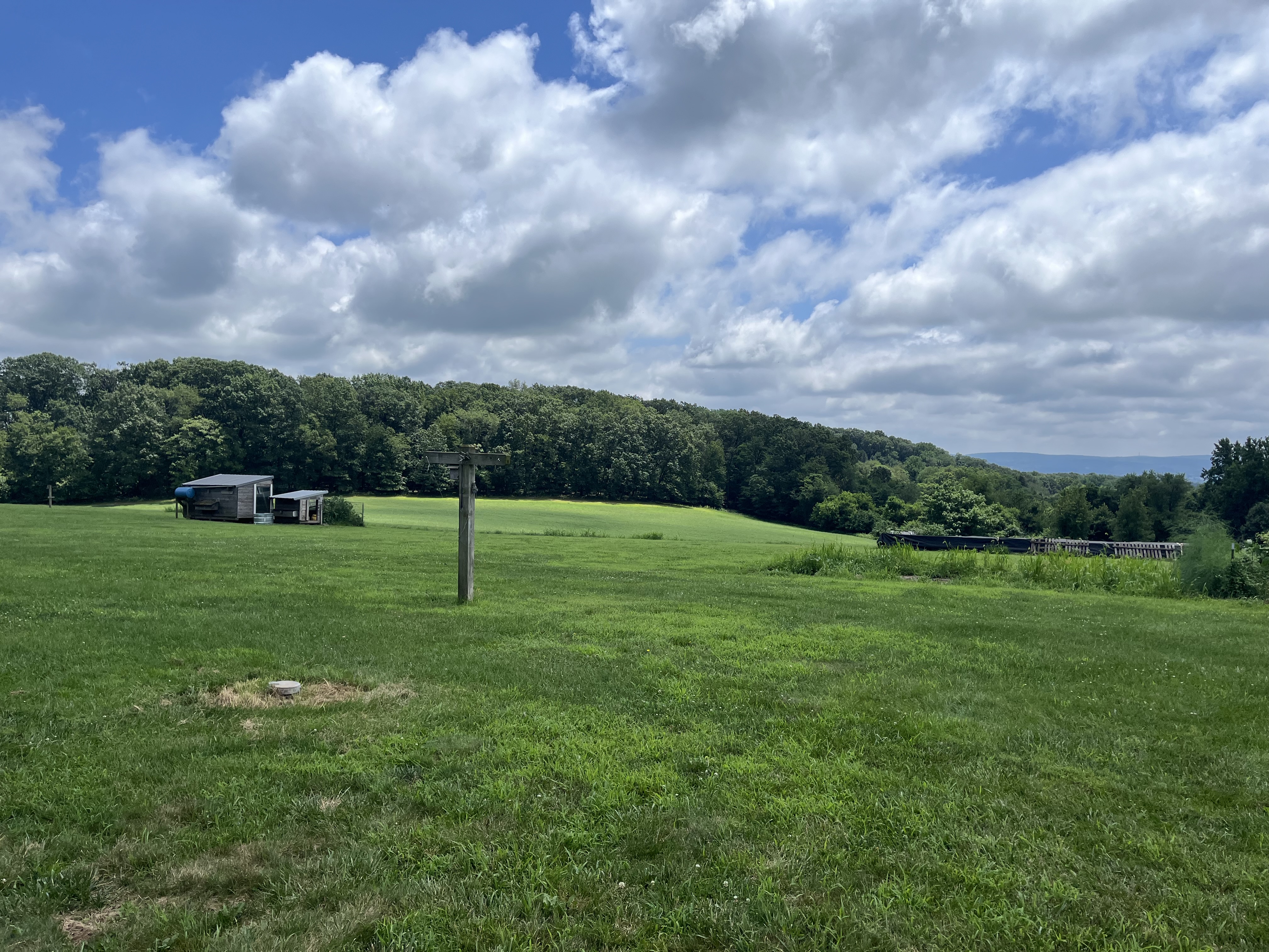Reading, Pennsylvania, 19606, United States, 4 Bedrooms Bedrooms, ,3 BathroomsBathrooms,Residential,For Sale,1979384