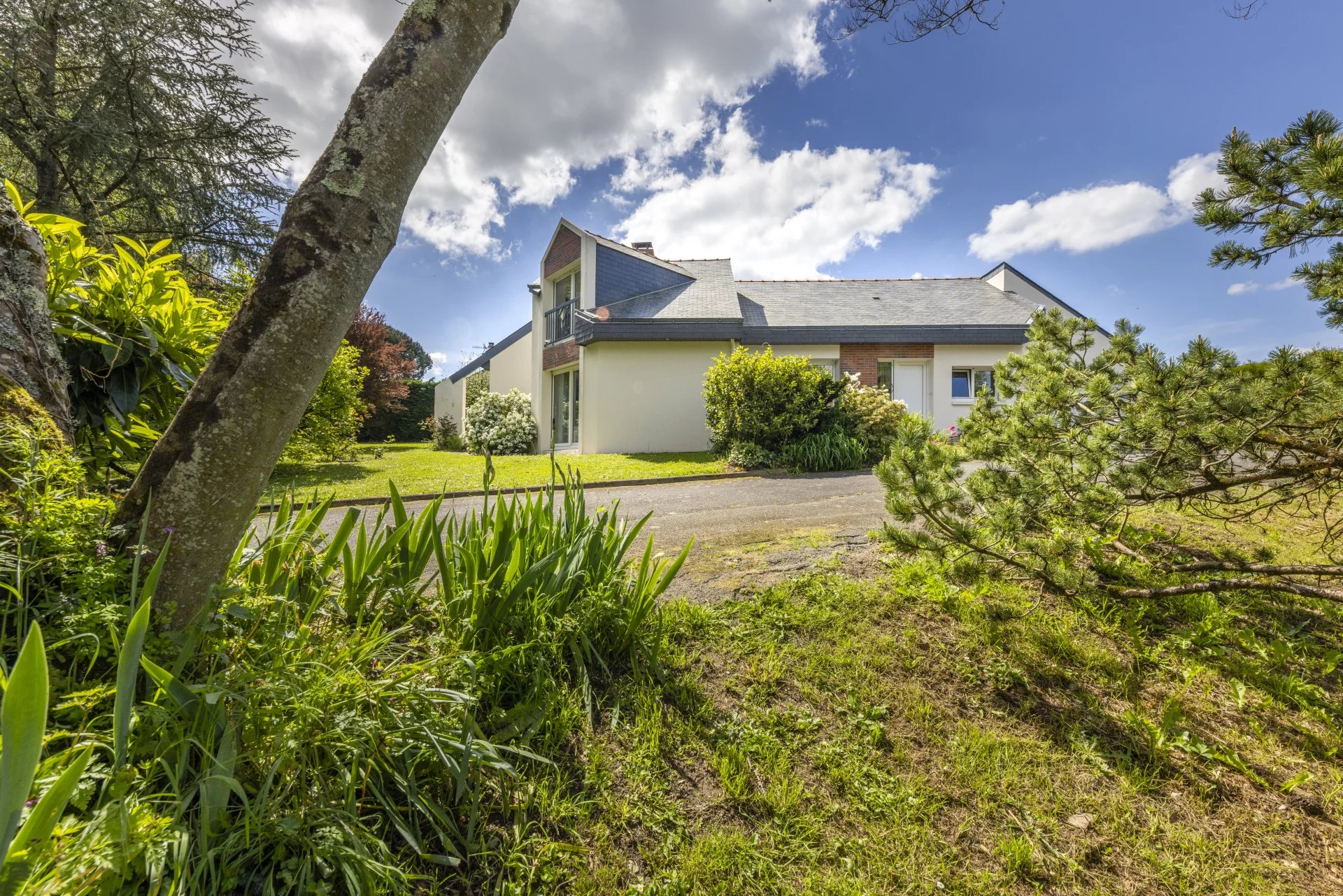 Sucé-sur-Erdre, Pays de la Loire, 44240, FR, 5 Bedrooms Bedrooms, ,6 BathroomsBathrooms,Residential,For Sale,1442849