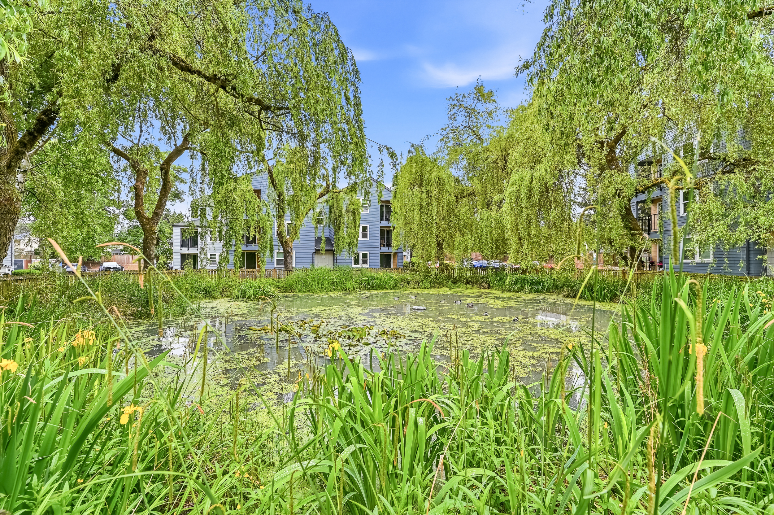 20330 Bothell Everett Hwy Unit #C201, Bothell, WA 98012 - 物件實景