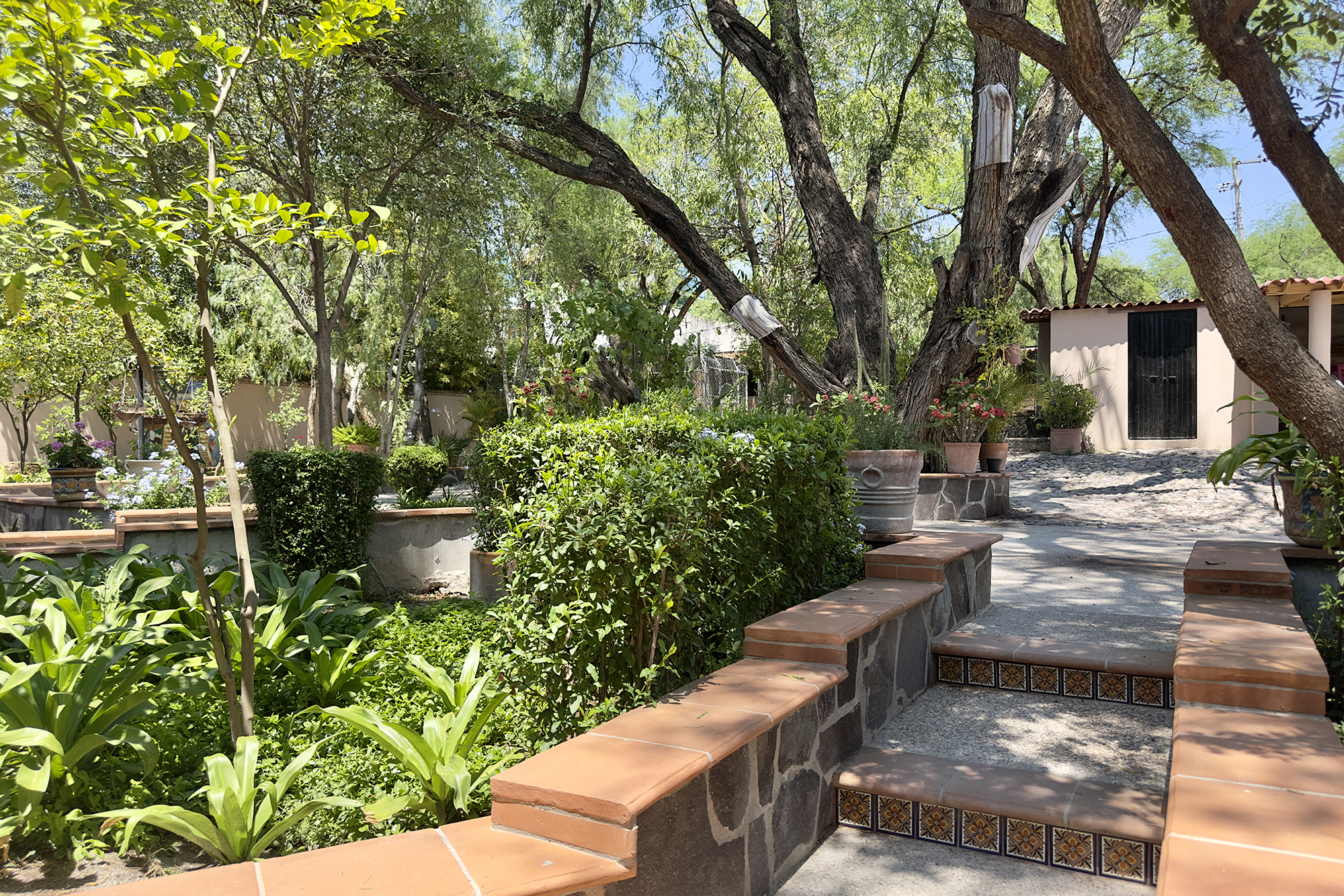  Casa Ciene - 物件實景