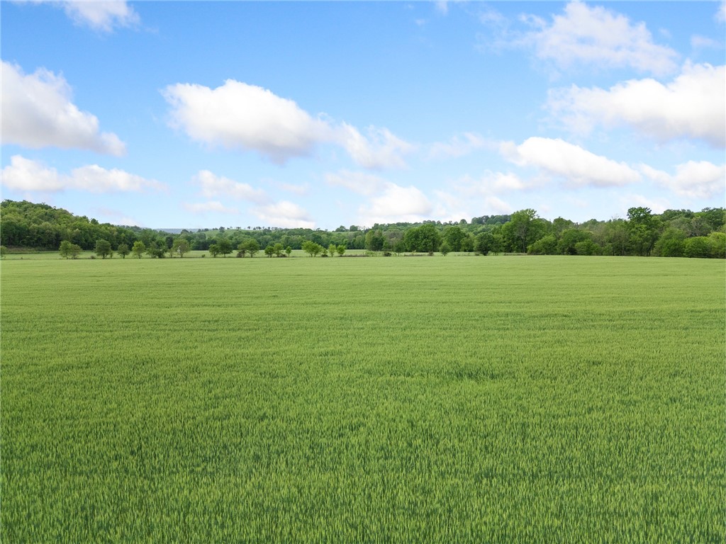 Alpena, Arkansas, 72611, United States, ,Land,For Sale,1903921