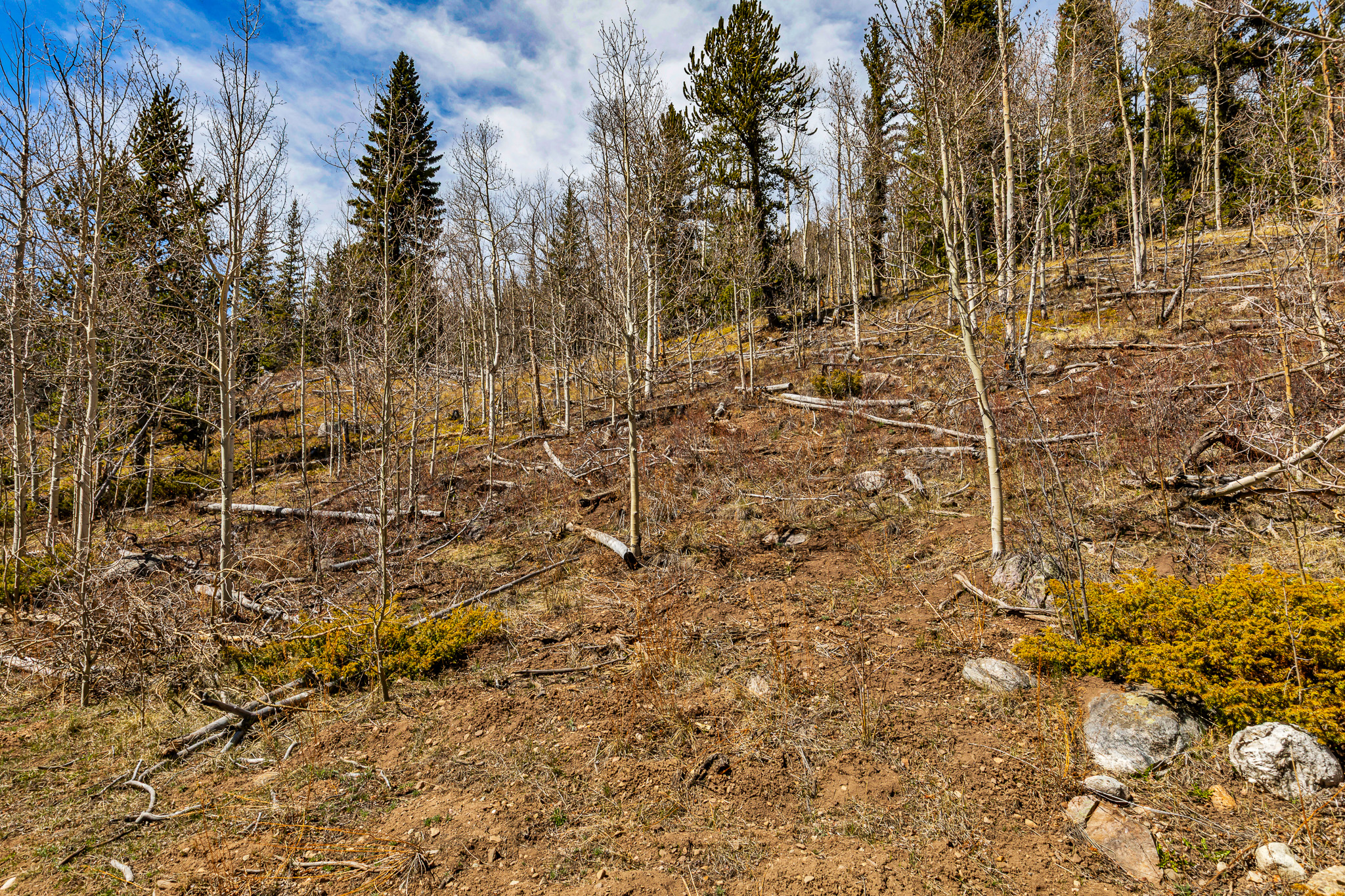  270 Co Rd 667, Alma, CO, 80440 - 物件實景