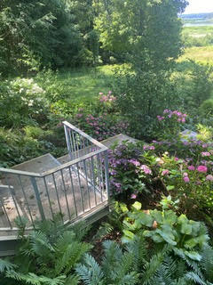 Fennville, Michigan, 49408, United States, 5 Bedrooms Bedrooms, ,7 BathroomsBathrooms,Residential,For Sale,1973707