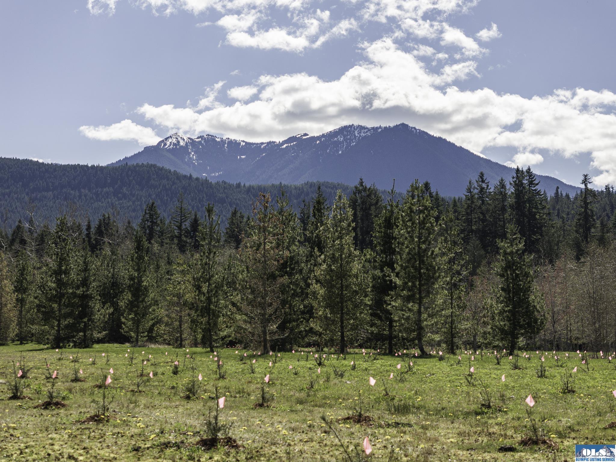 Sequim, Washington, 98382, United States, ,Land,For Sale,1787569