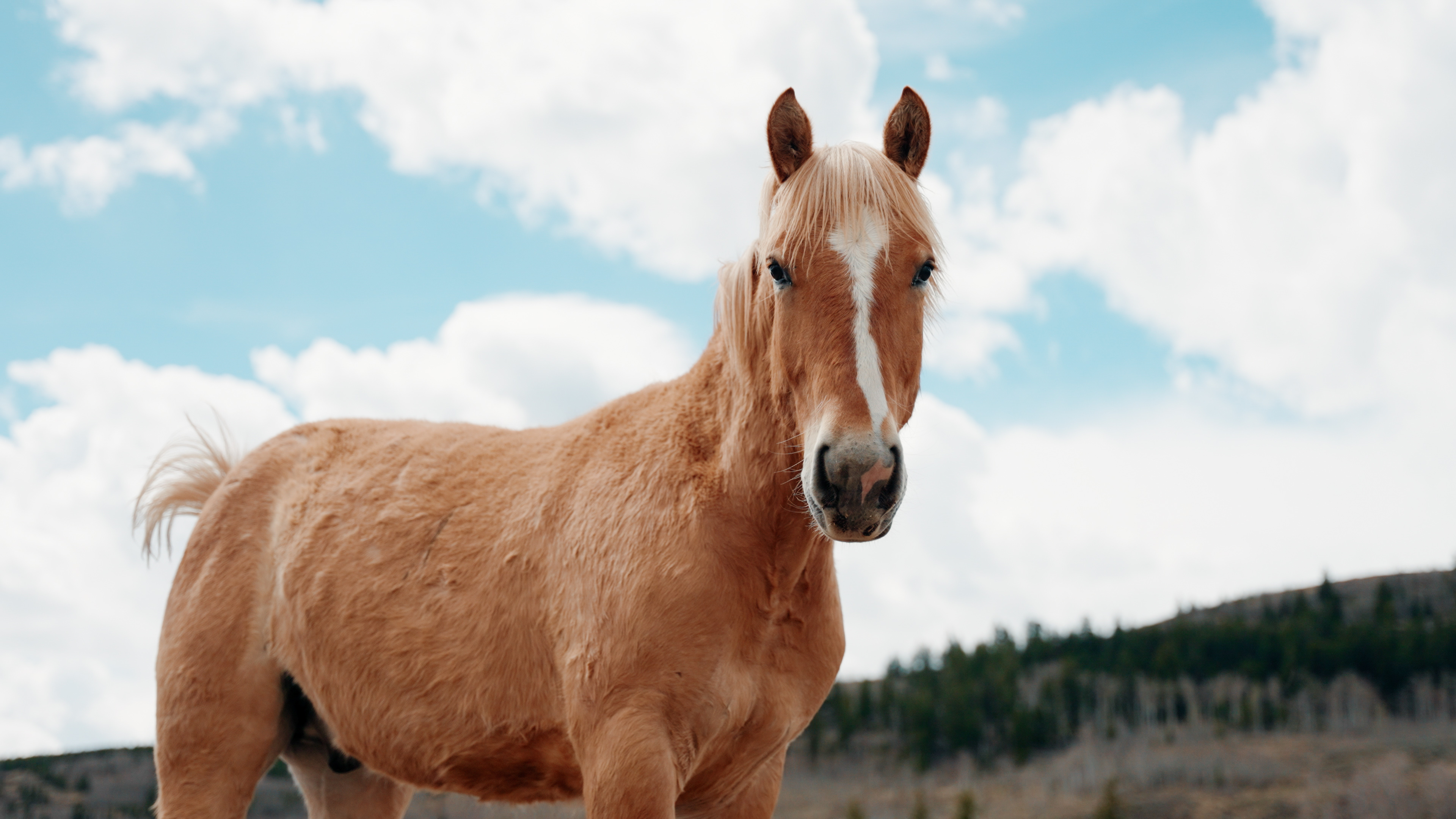  Welcome to One of Summit County