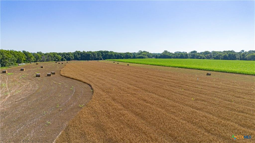 Mcqueeney, Texas, 78123, United States, ,Land,For Sale,1980081