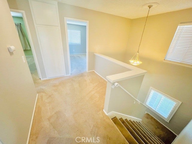 Redlands, California, 92374, United States, 3 Bedrooms Bedrooms, ,3 BathroomsBathrooms,Residential,For Sale,1908289