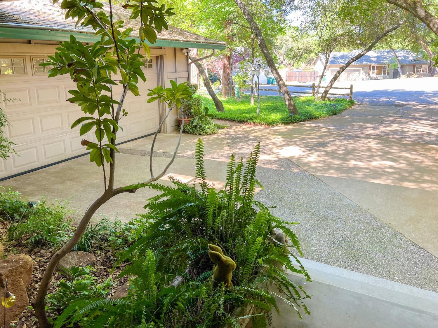 Cameron Park, California, 95682, United States, 4 Bedrooms Bedrooms, ,3 BathroomsBathrooms,Residential,For Sale,1923512