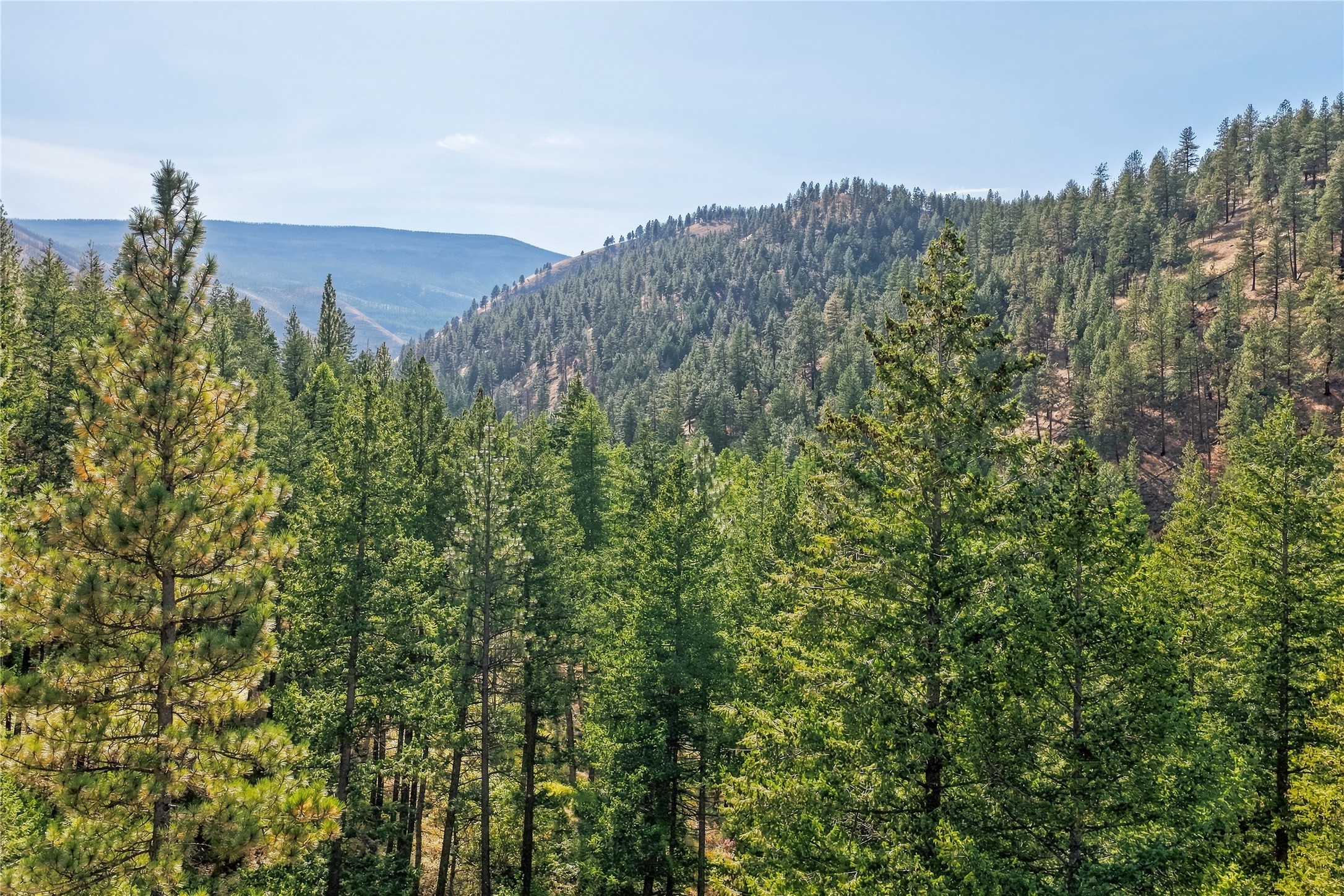  14605 Mormon Creek Road - 物件實景