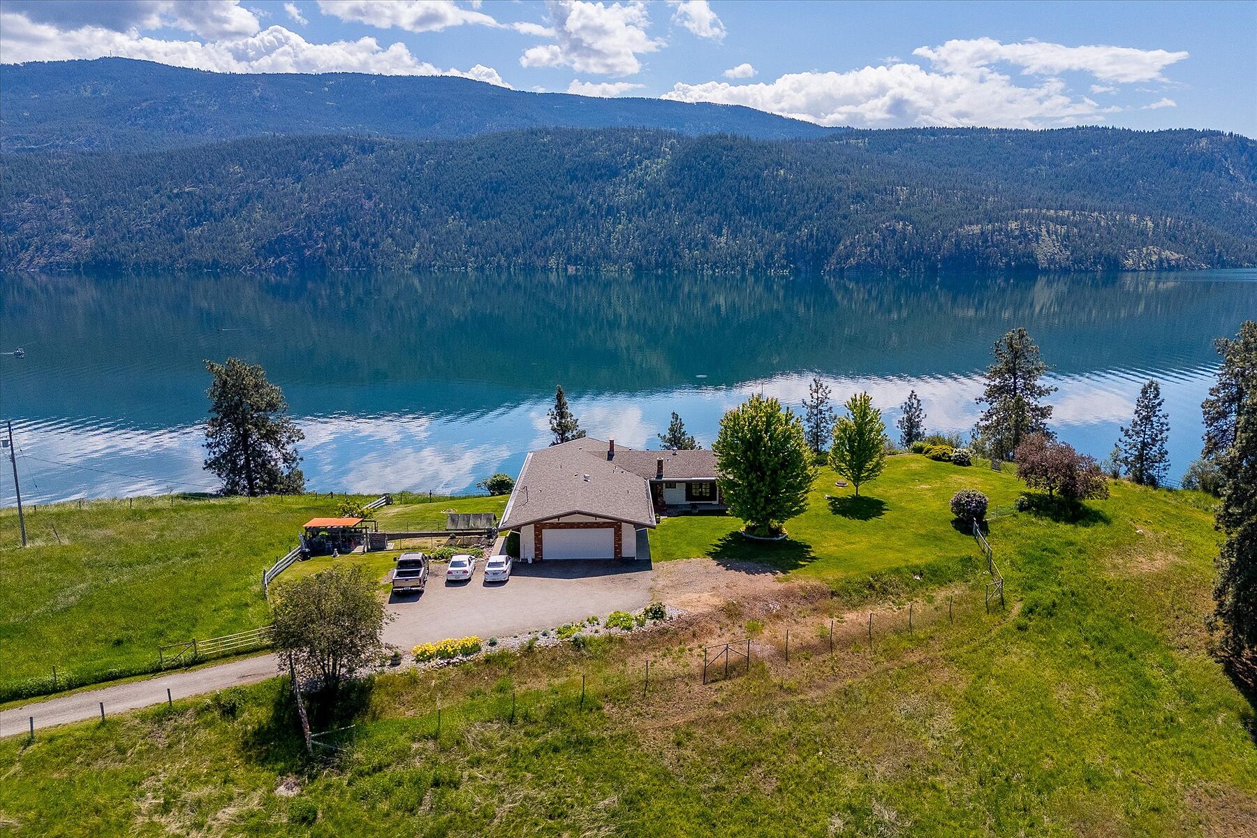  Kal-Lake Cattle - 物件實景