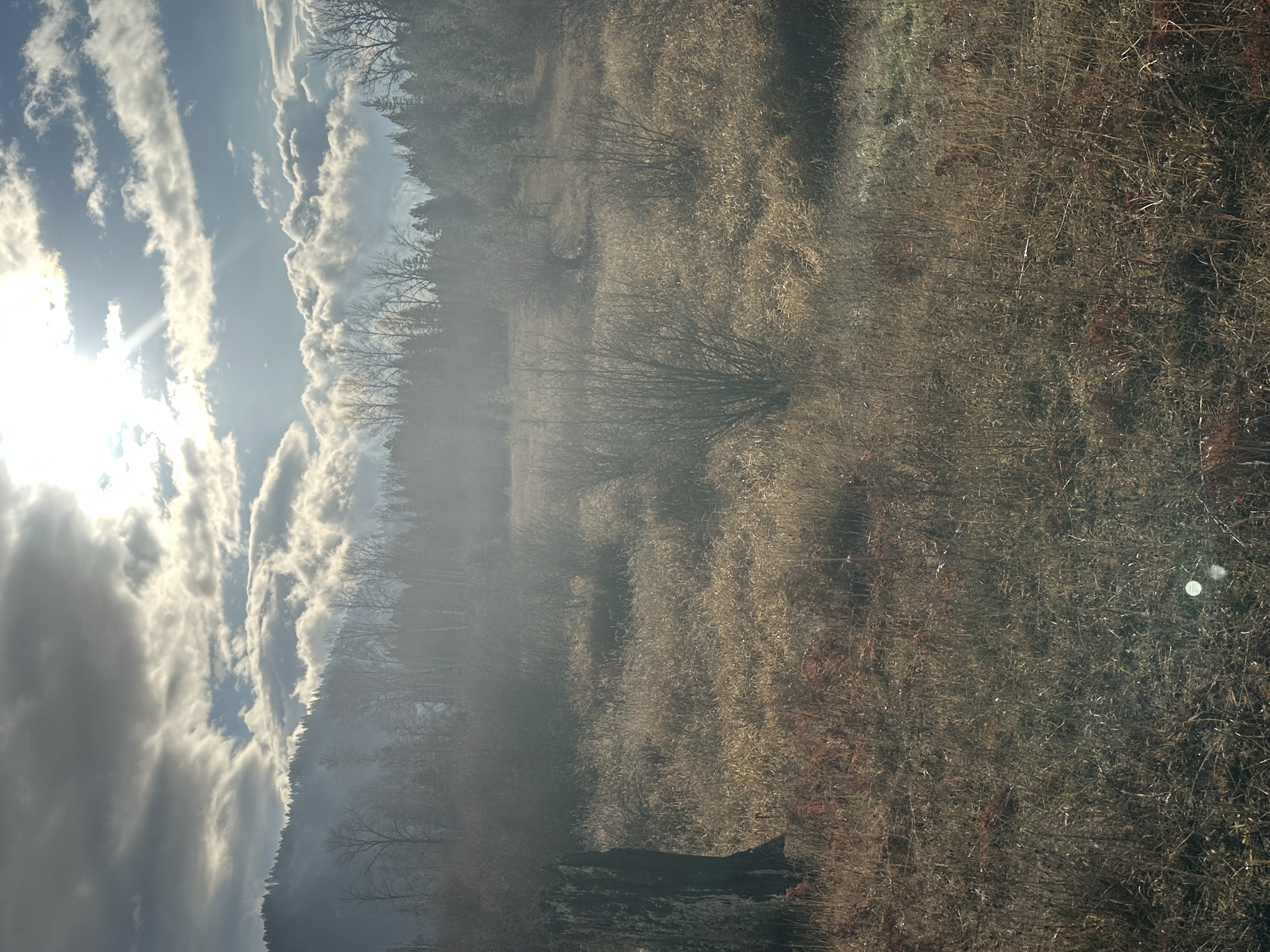 Priest River, Idaho, 83856, United States, ,Land,For Sale,2006127