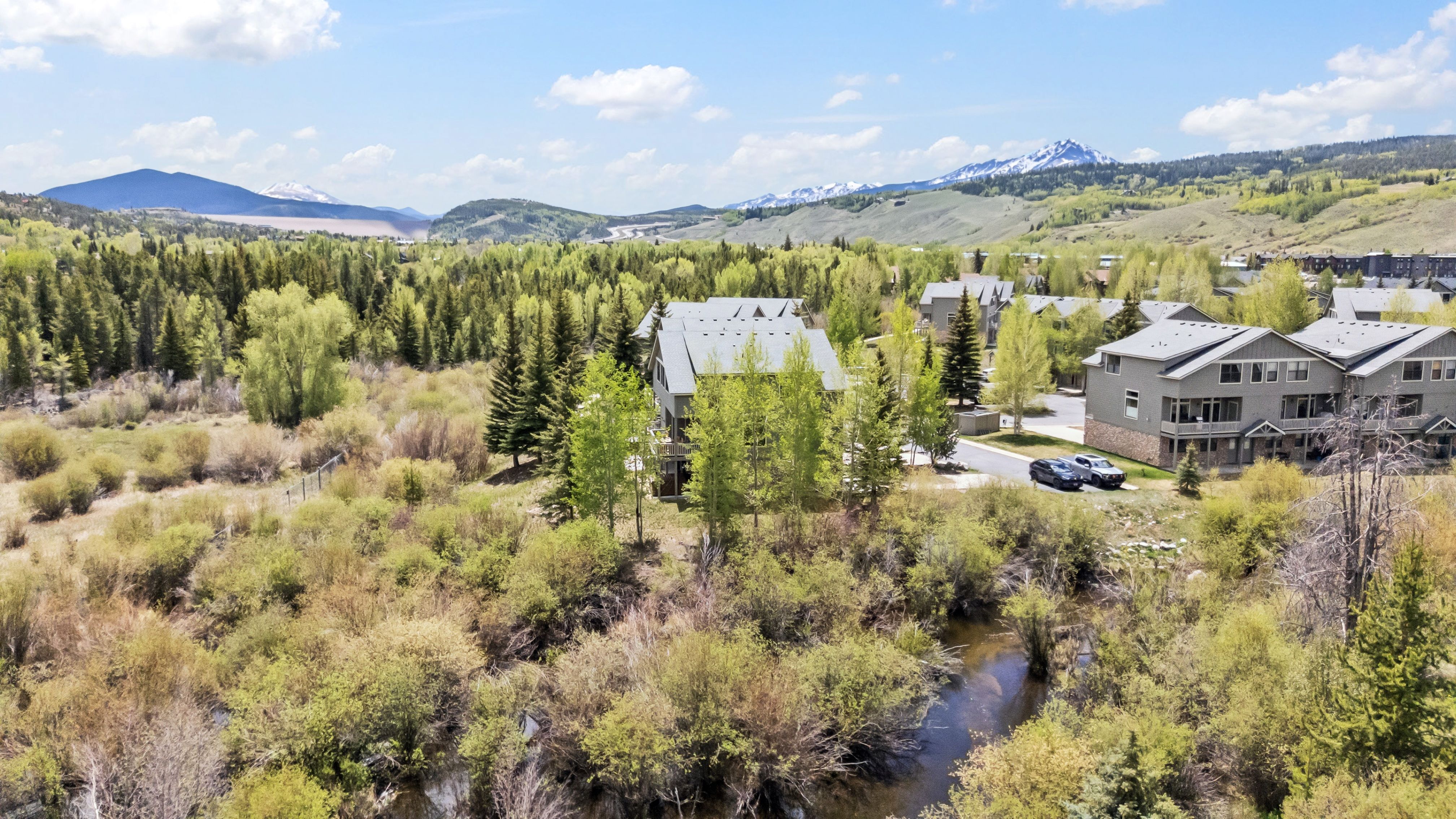  135 Creek Lane, Silverthorne, CO, 80498 - 物件實景