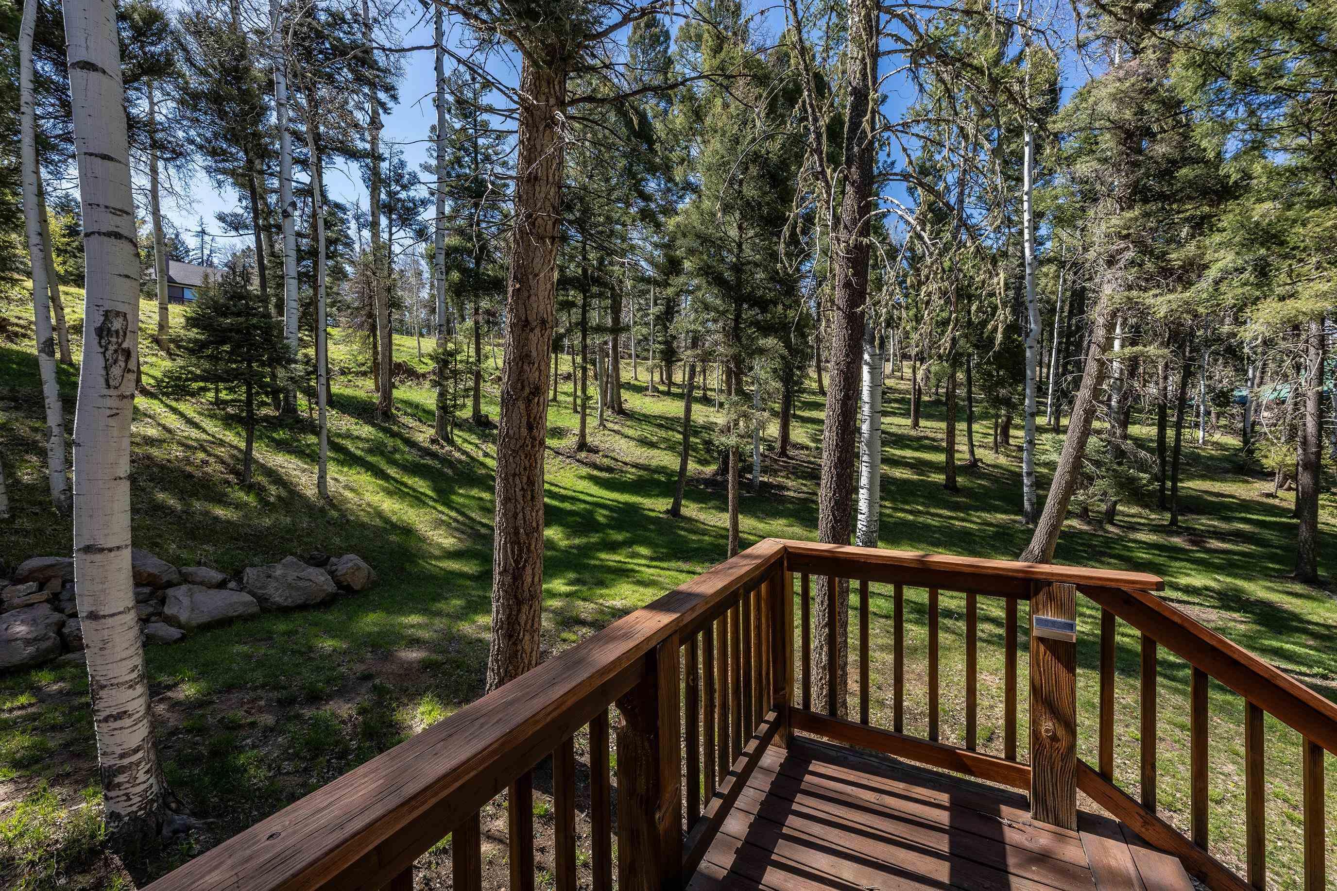 Angel Fire, New Mexico, 87710, United States, 3 Bedrooms Bedrooms, ,4 BathroomsBathrooms,Residential,For Sale,1849940