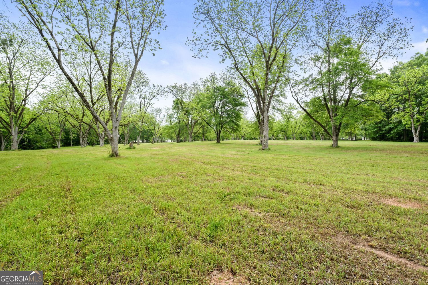 Milner, Georgia, 30257, United States, ,Land,For Sale,1859026