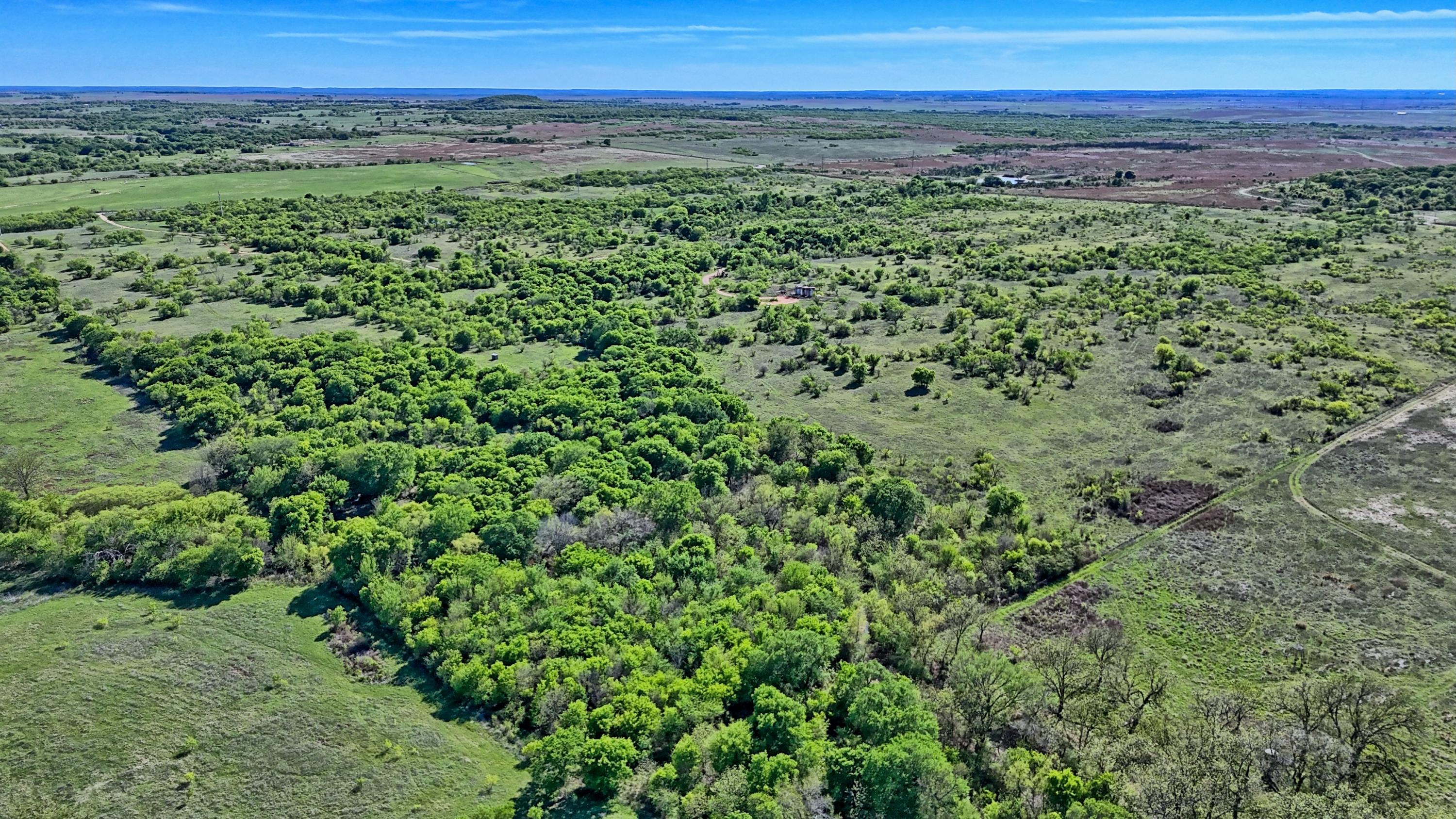  180 +/- Acre Multi-use North Texas Ranch - 物件實景