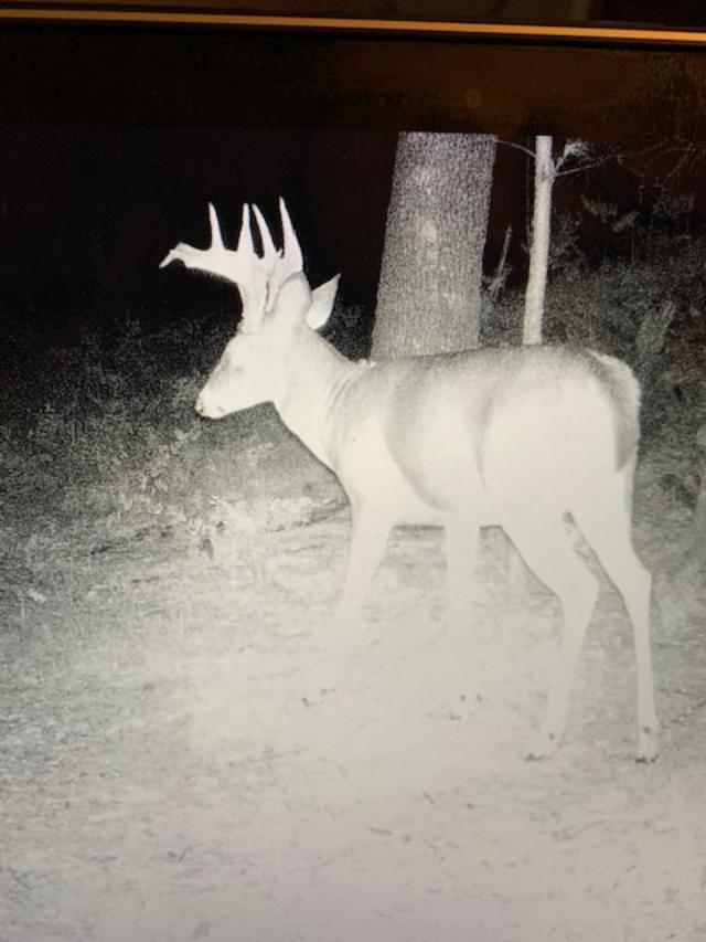 Big Rapids, Michigan, 49307, United States, 3 Bedrooms Bedrooms, ,2 BathroomsBathrooms,Residential,For Sale,1951282