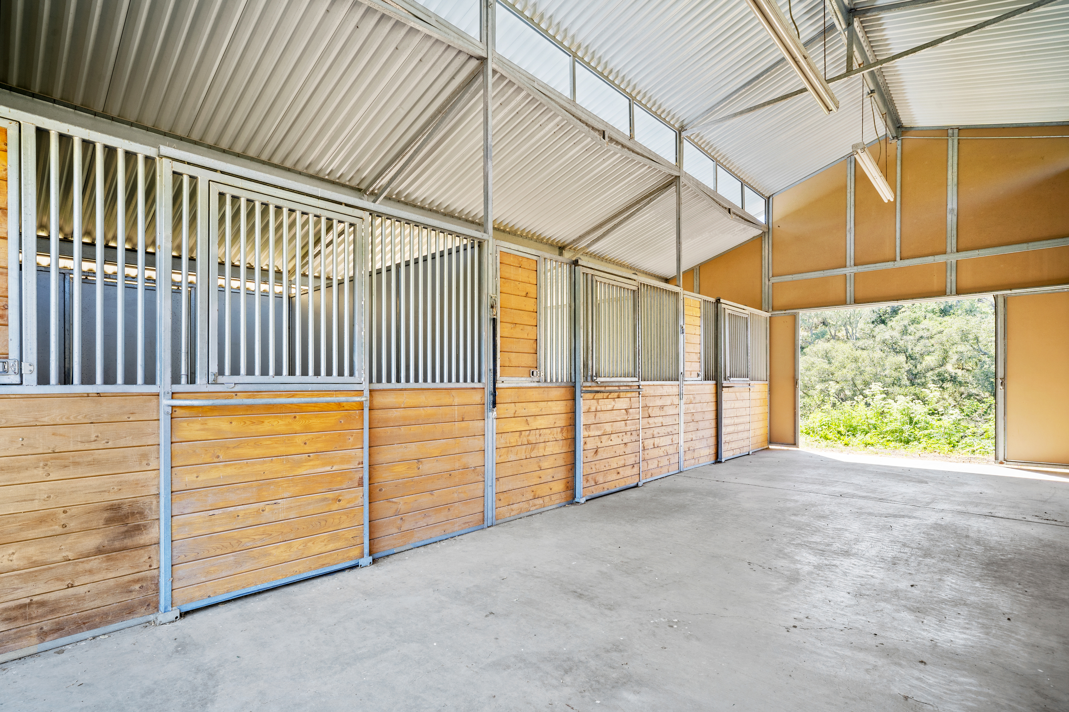  28837 Underwood Road - 物件實景