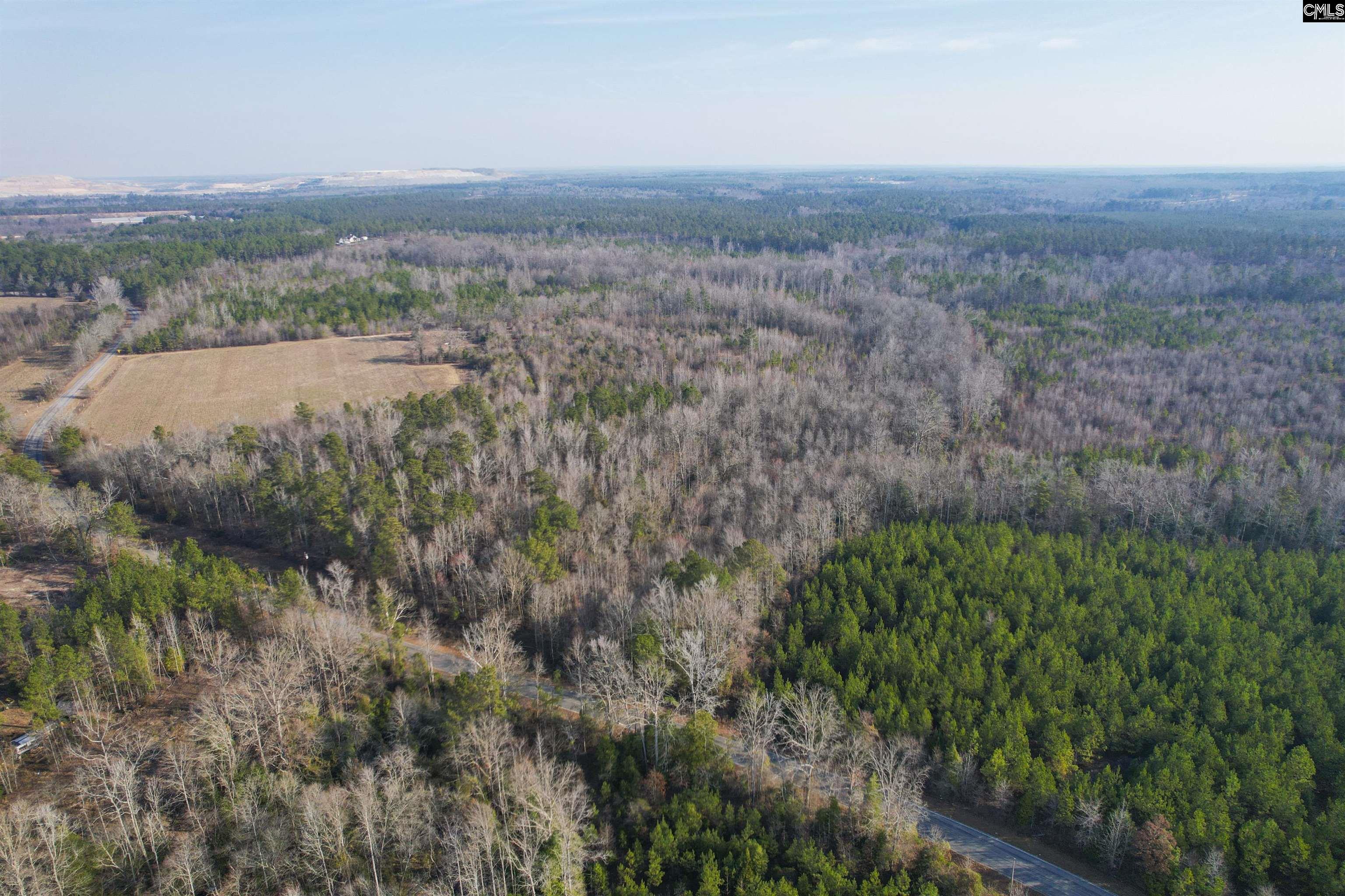 703 Neds Creek Road, Kershaw, South Carolina, 29067, United States, ,Land,For Sale,703 Neds Creek Road,1669372