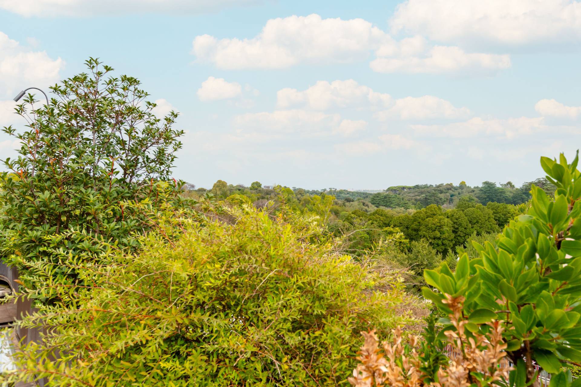 Roma, Roma, 00100, IT, 3 Bedrooms Bedrooms, ,4 BathroomsBathrooms,Residential,For Sale,1949736