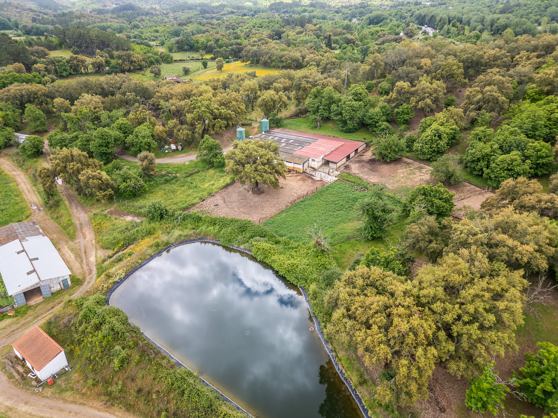  Cattle, equestrian, agricultural, and ecological farm in Aracena