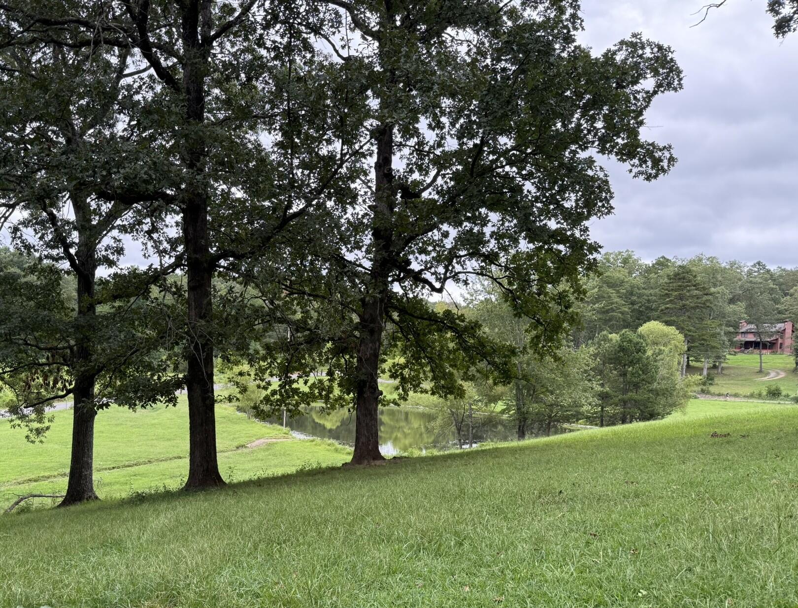 Dunlap, Tennessee, 37327, United States, 3 Bedrooms Bedrooms, ,2 BathroomsBathrooms,Residential,For Sale,1912691