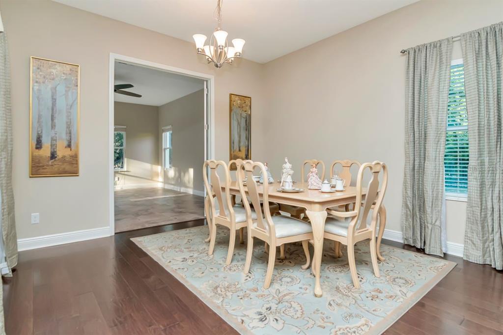 Land O Lakes, Florida, 34638, United States, 5 Bedrooms Bedrooms, ,4 BathroomsBathrooms,Residential,For Sale,2003047