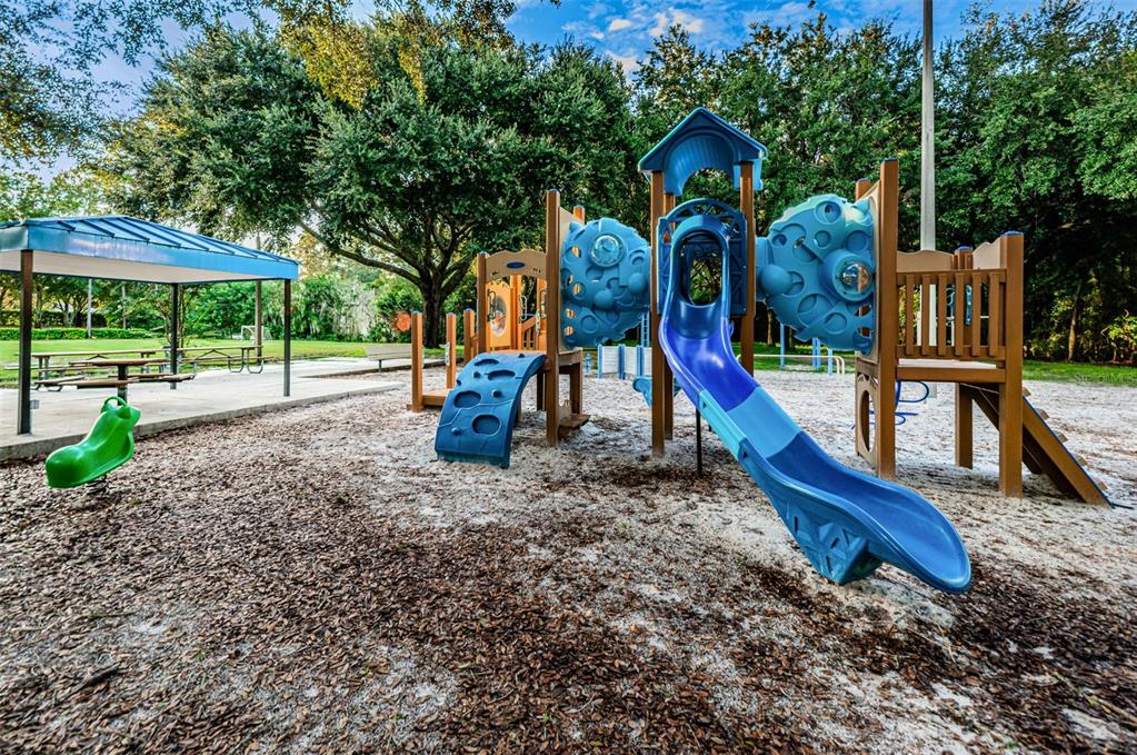 Palm Harbor, Florida, 34685, United States, 4 Bedrooms Bedrooms, ,3 BathroomsBathrooms,Residential,For Sale,1987675