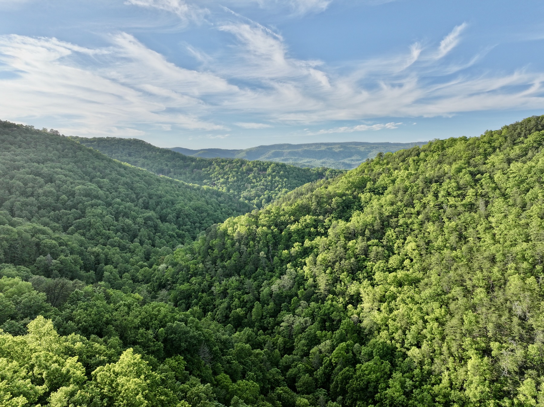 Sevierville, Tennessee, 37876, United States, 3 Bedrooms Bedrooms, ,3 BathroomsBathrooms,Residential,For Sale,2027854