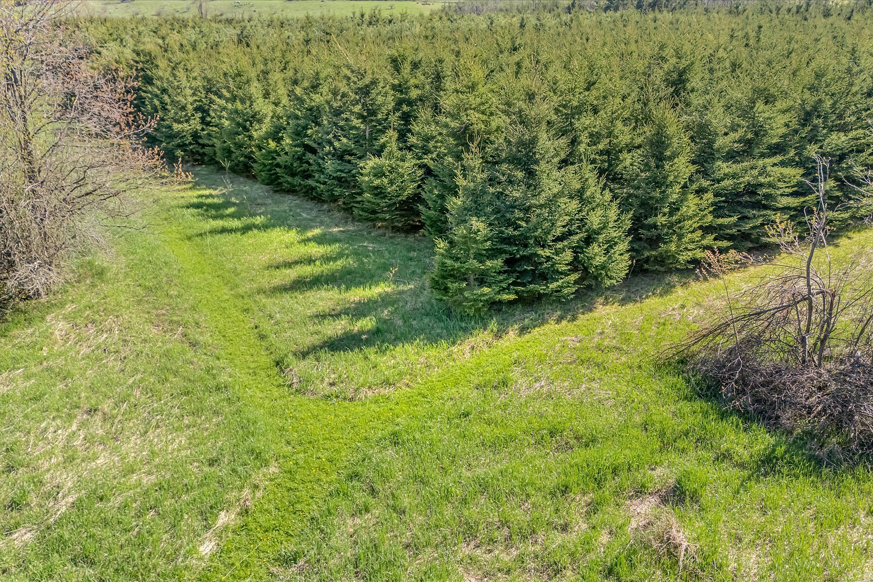  88-Acre Mulmur Estate - 物件實景