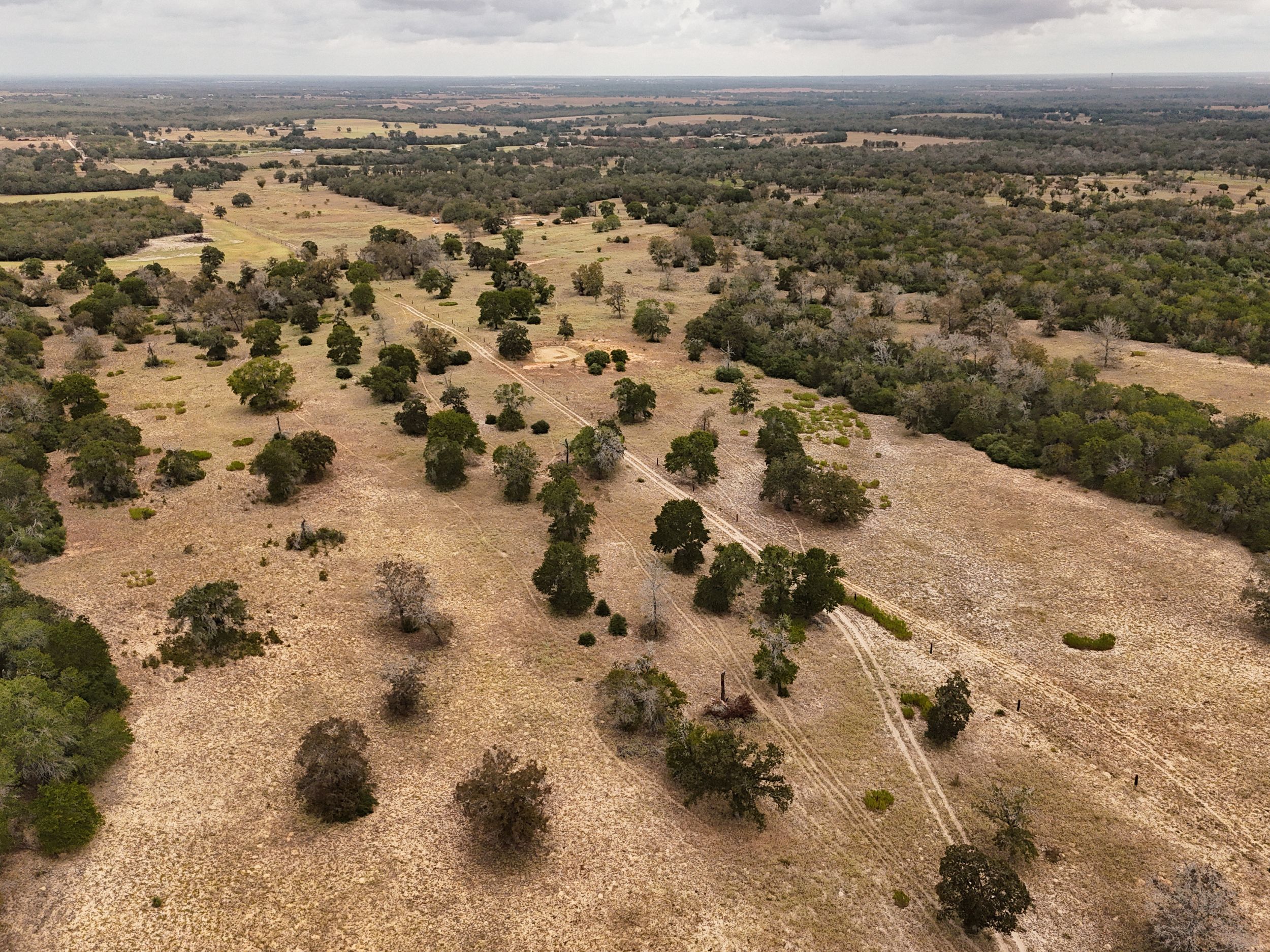  860+/- Acre PQR Ranch in Gonzales County - 物件實景