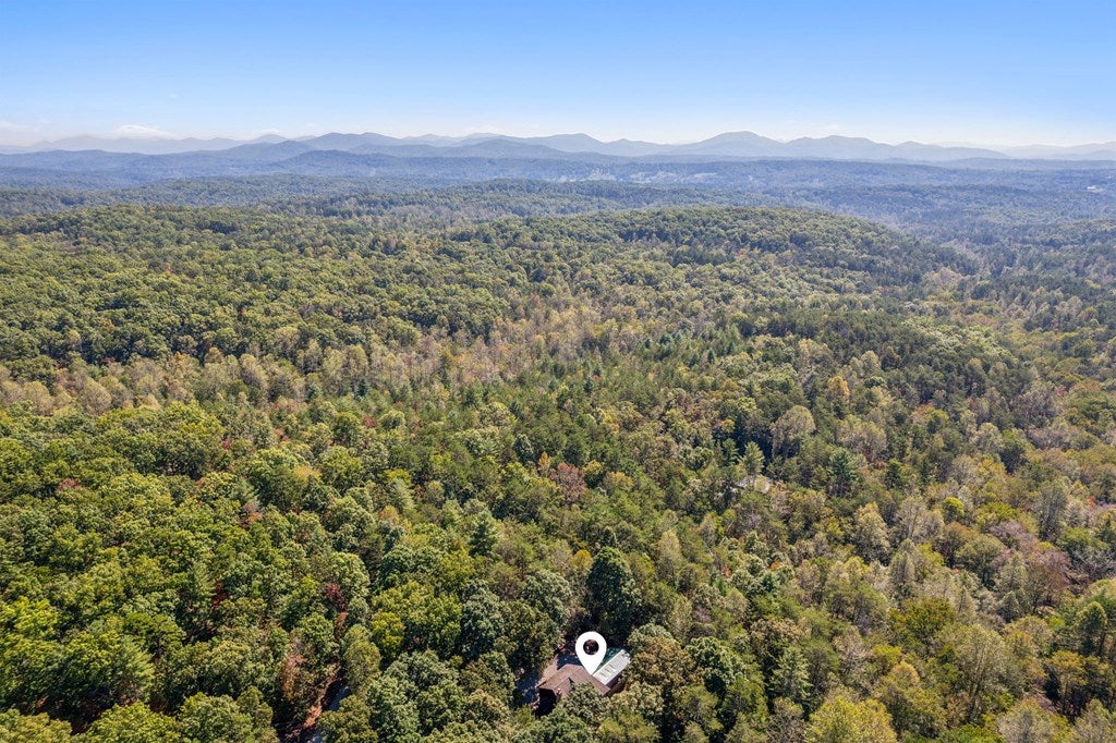 Morganton, Georgia, 30560, United States, 3 Bedrooms Bedrooms, ,4 BathroomsBathrooms,Residential,For Sale,1858984