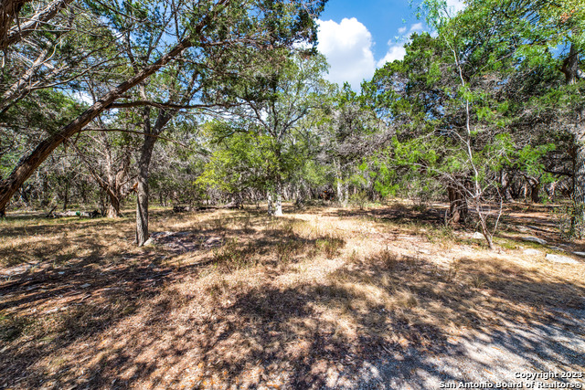 Bulverde, Texas, 78163, United States, 3 Bedrooms Bedrooms, ,2 BathroomsBathrooms,Residential,For Sale,1912066