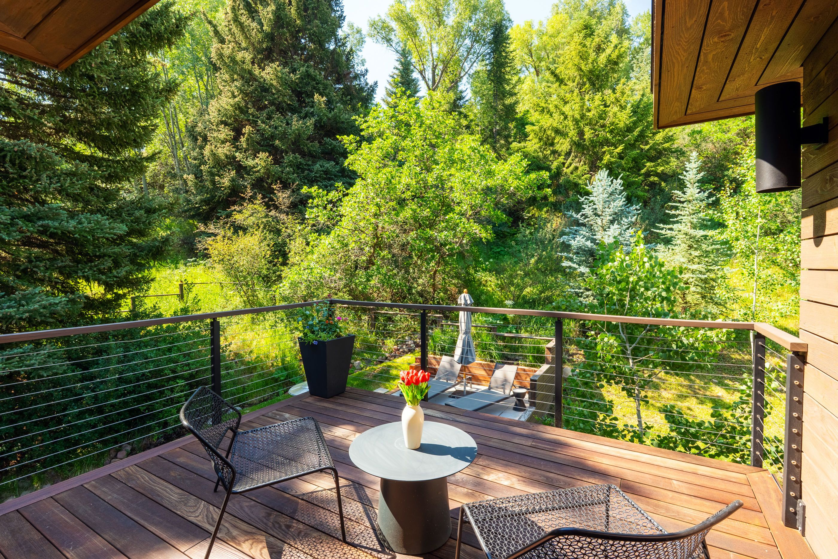  1235 Red Butte Drive, Aspen, CO 81611 - 物件實景