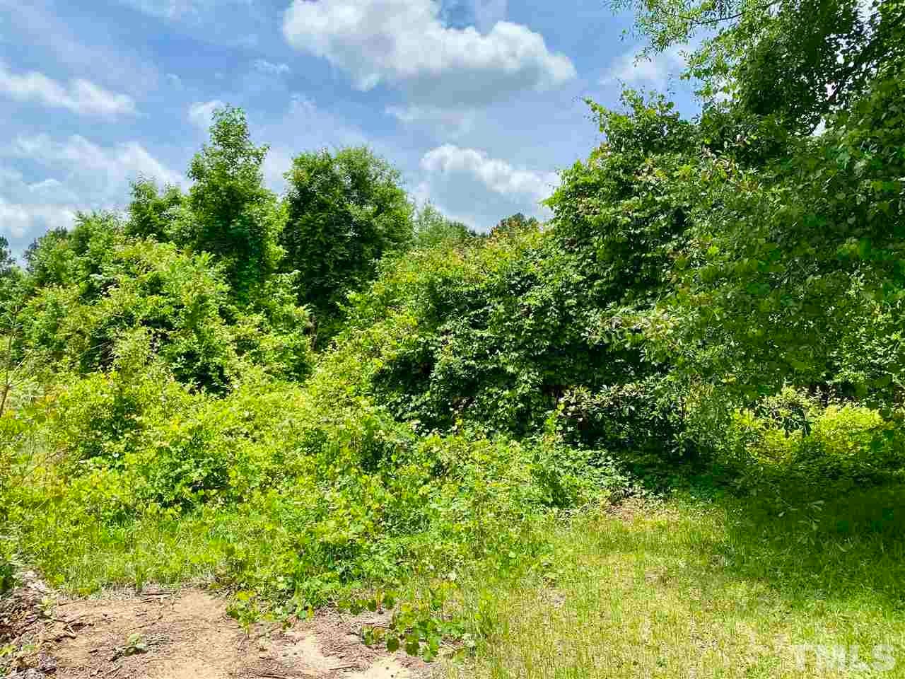 0 devils racetrack RD, Four Oaks, North Carolina, 27524, United States, ,Land,For Sale,0 devils racetrack RD,1432229