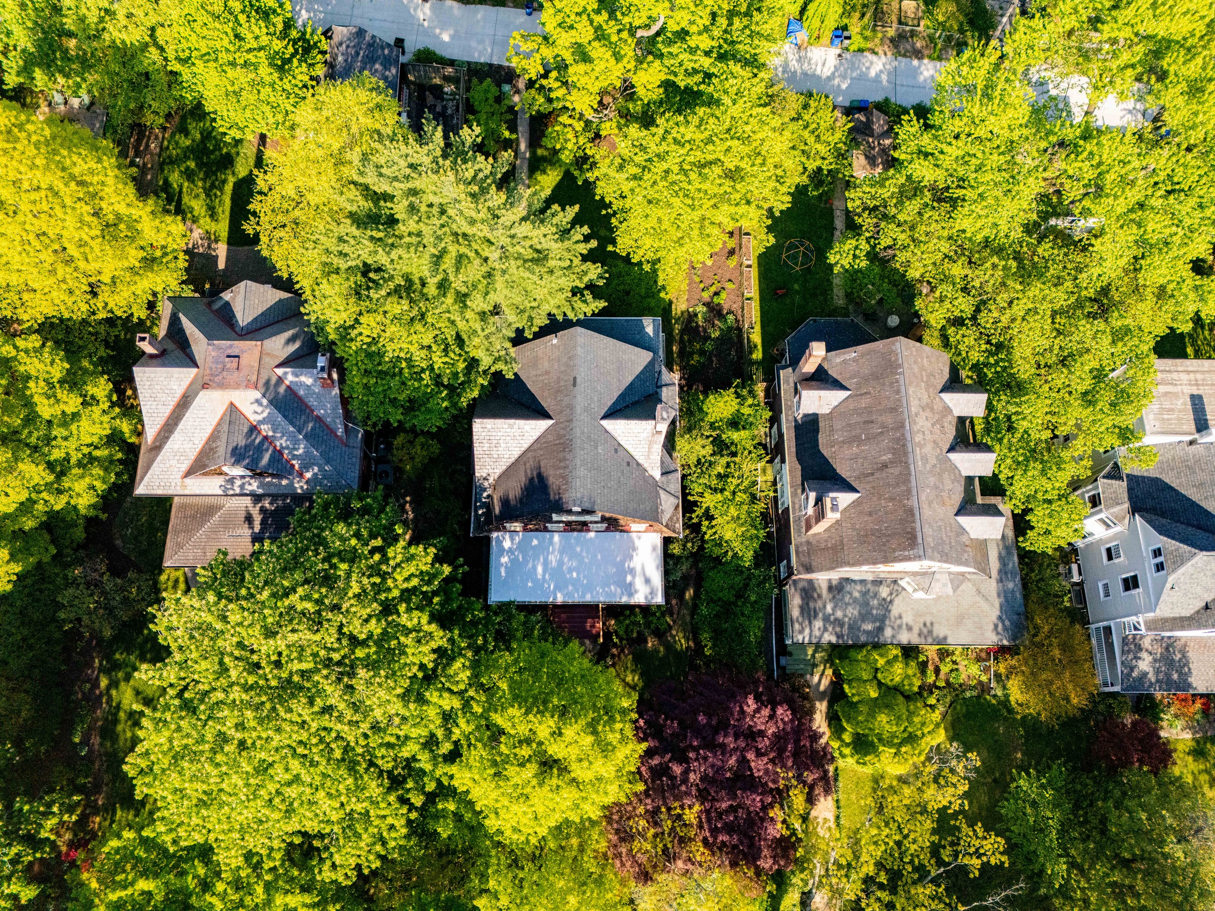  ROLAND PARK - 物件實景