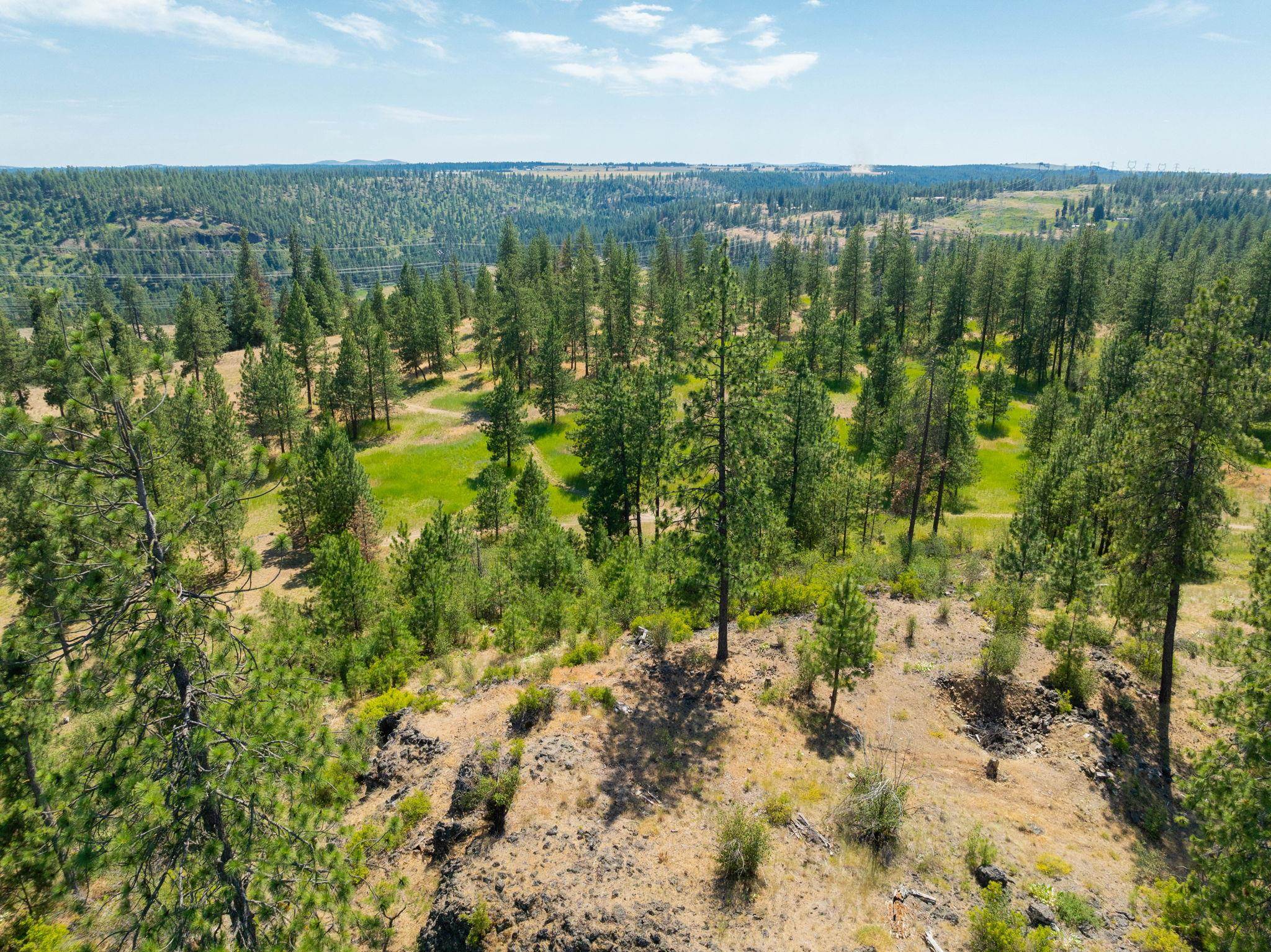 Nine Mile Falls, Washington, 99026, United States, ,Land,For Sale,1960887