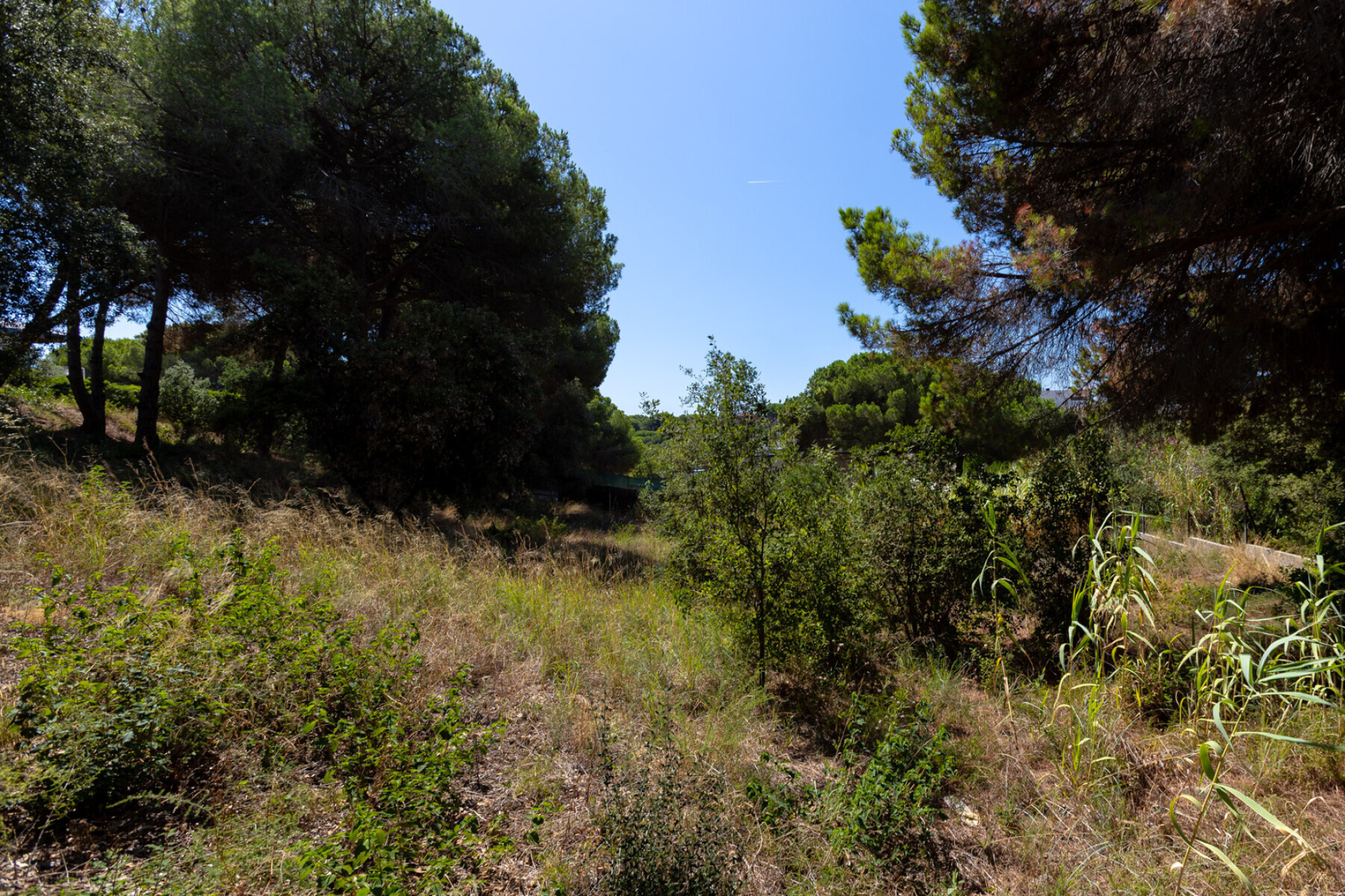  Two adjoining plots in Rocaferrera, Sant Andreu de Llavaneres - Costa BCN - 物件實景