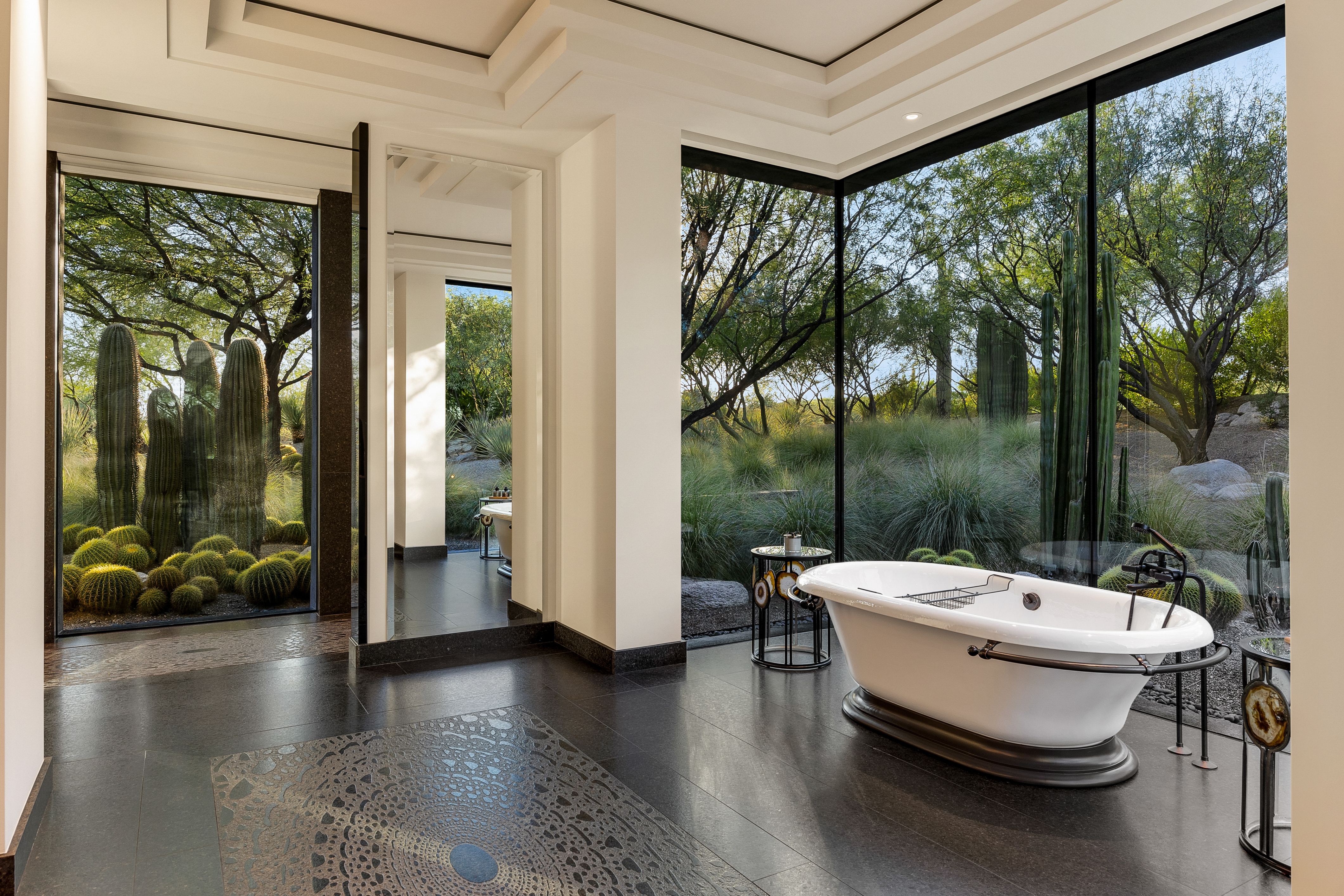  3978 N Canyon Ranch Drive¦Tucson, AZ - 物件實景